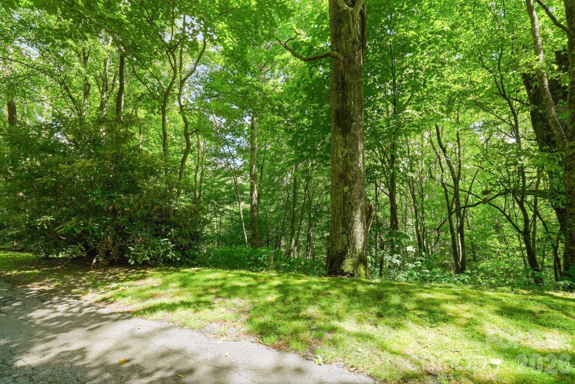 0 Bent Oak Drive #6 - Photo 3