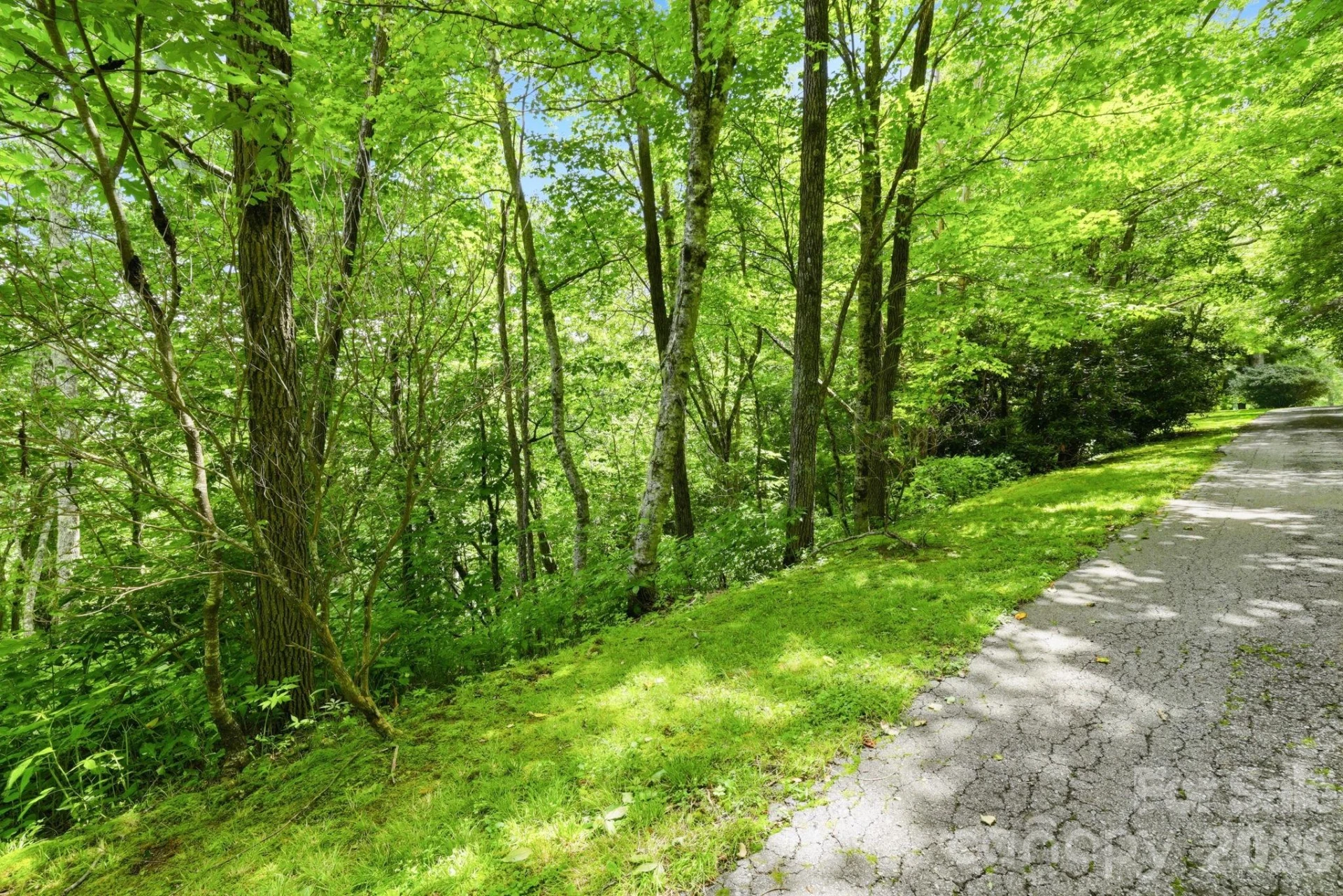 0 Bent Oak Drive #6 - Photo 4