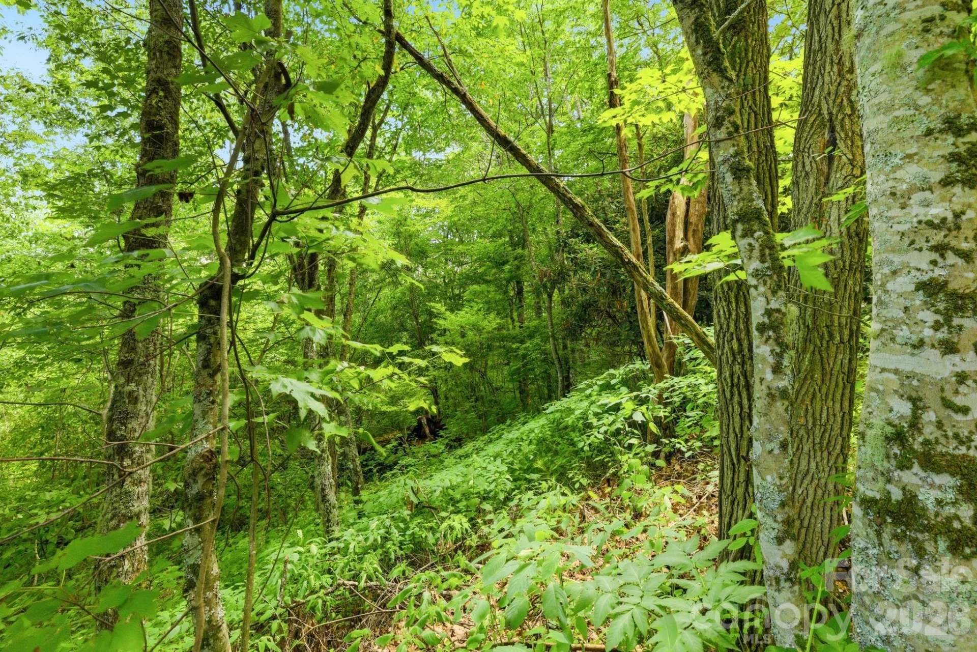 0 Bent Oak Drive #6 - Photo 5