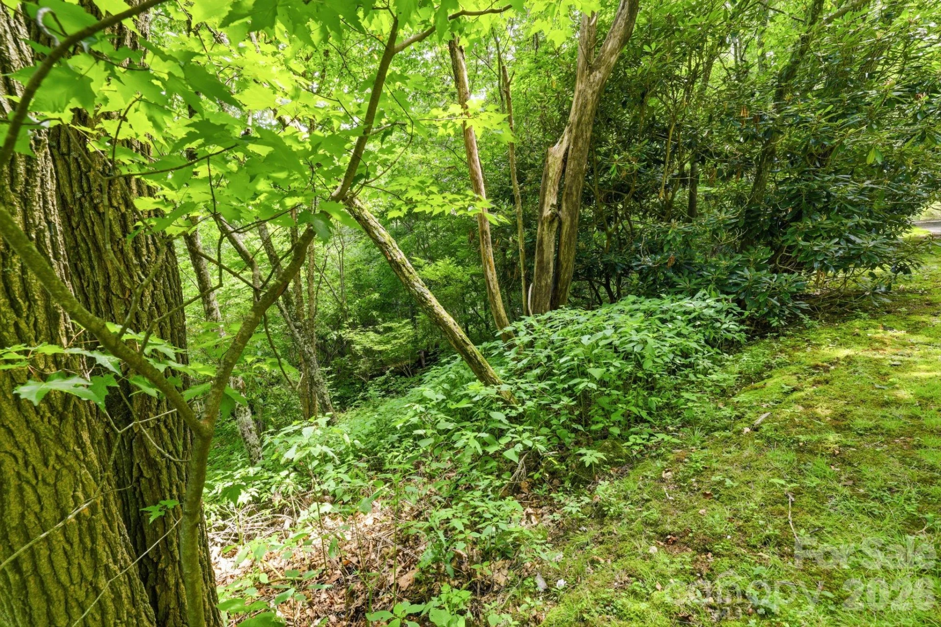 0 Bent Oak Drive #6 - Photo 7