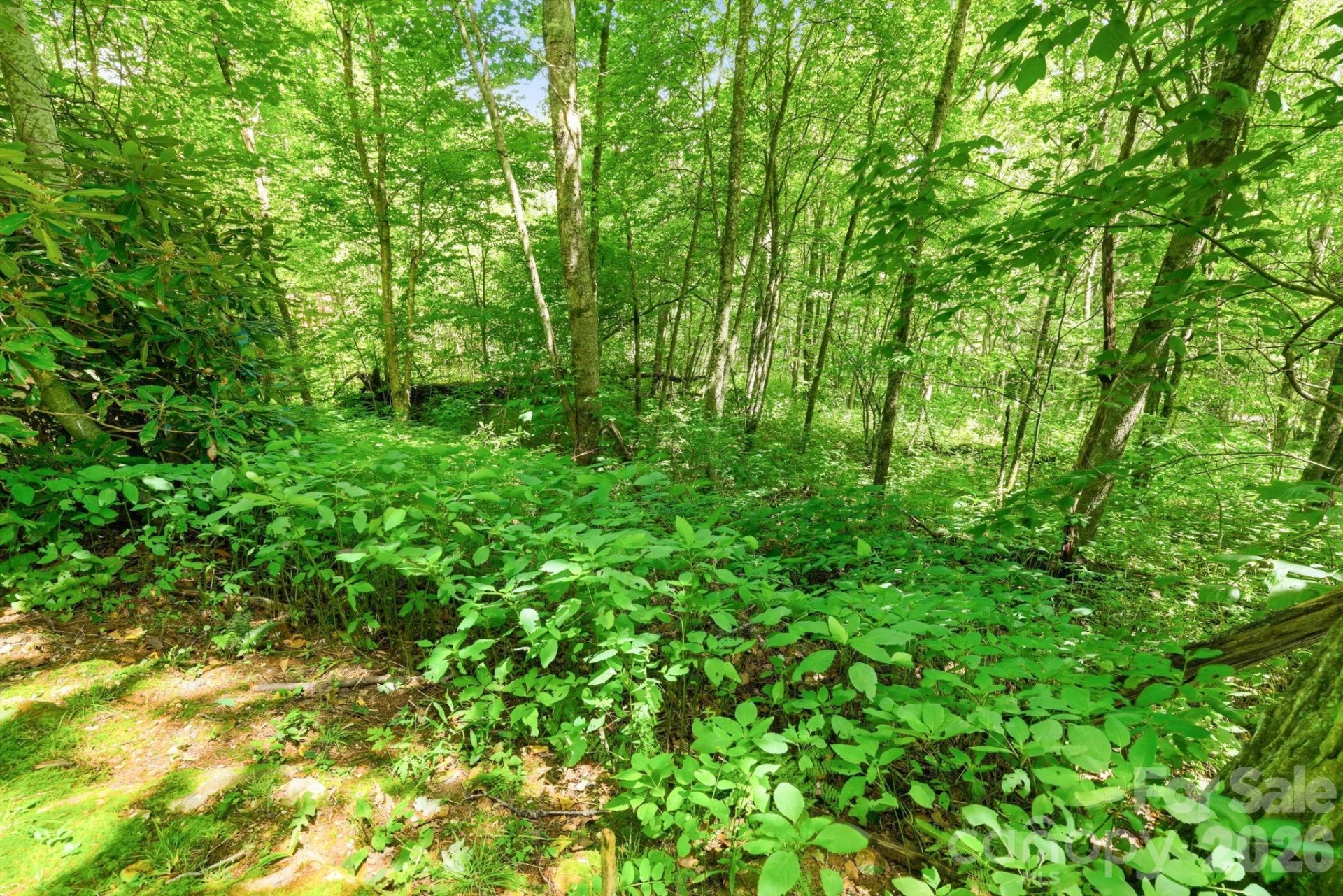 0 Bent Oak Drive #6 - Photo 8