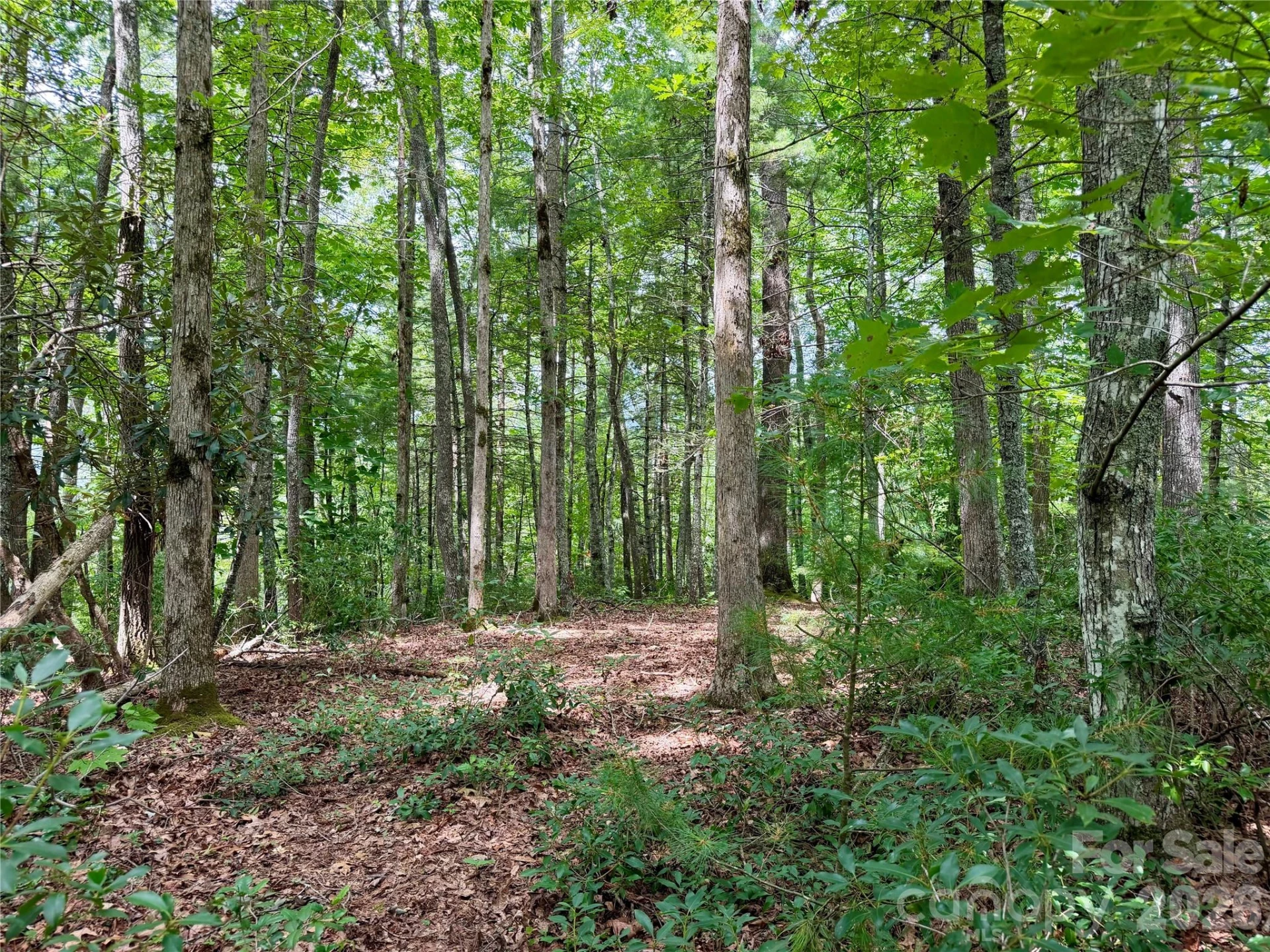 1156 Bear River Lodge Trail - Photo 11