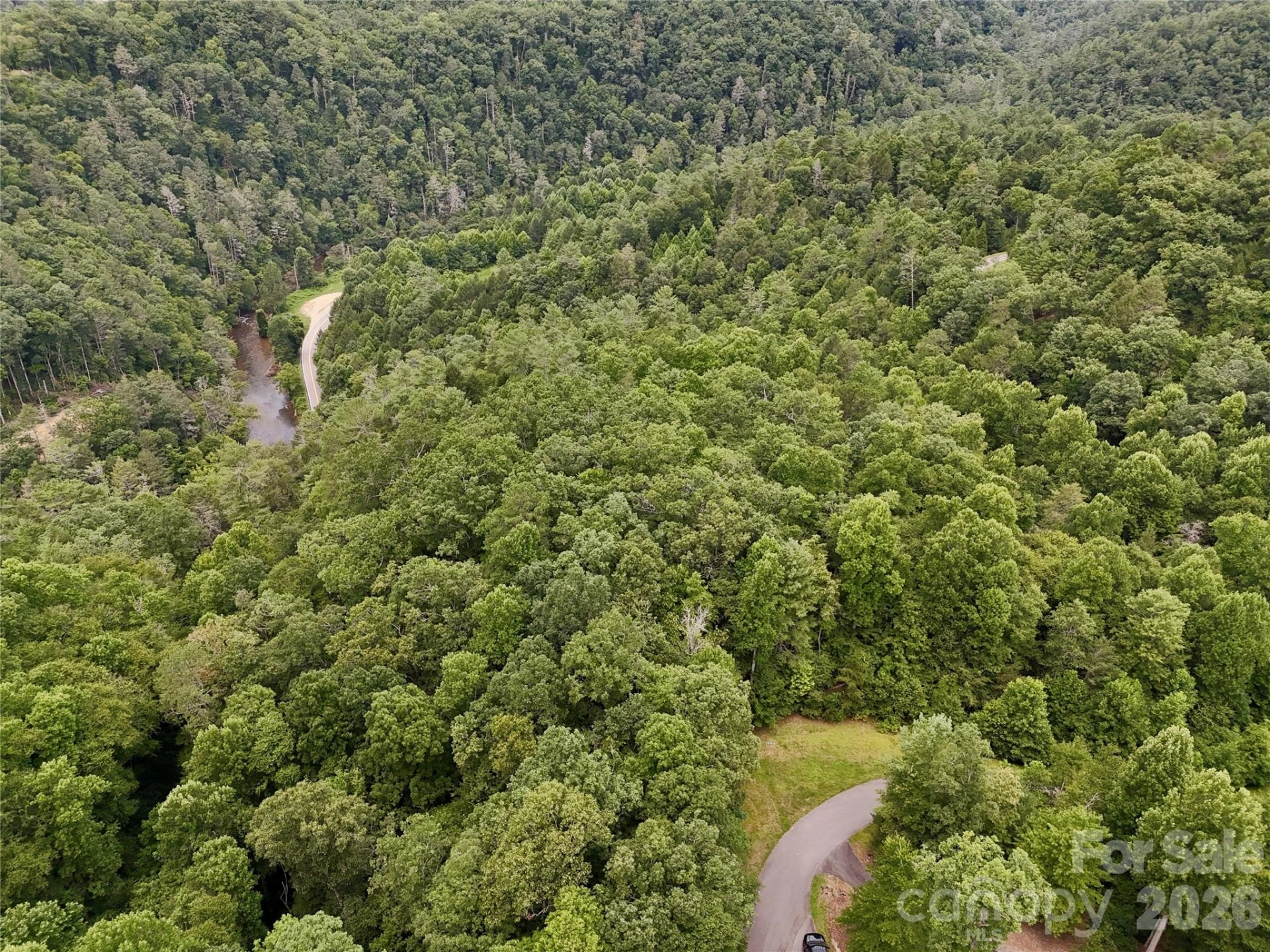 1156 Bear River Lodge Trail - Photo 13