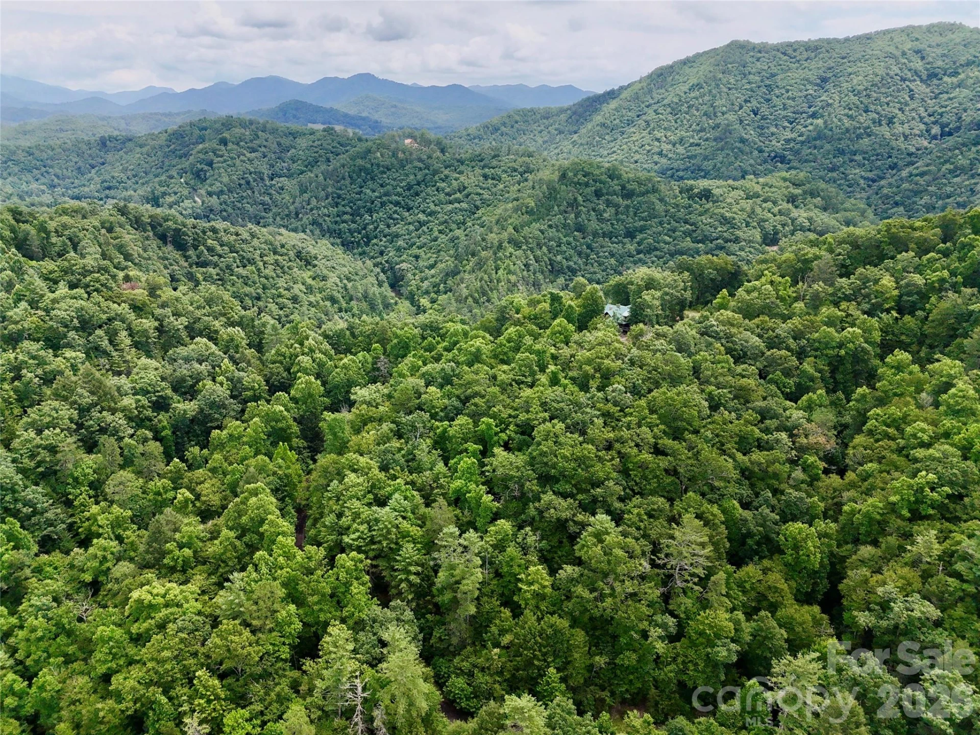 1156 Bear River Lodge Trail - Photo 15