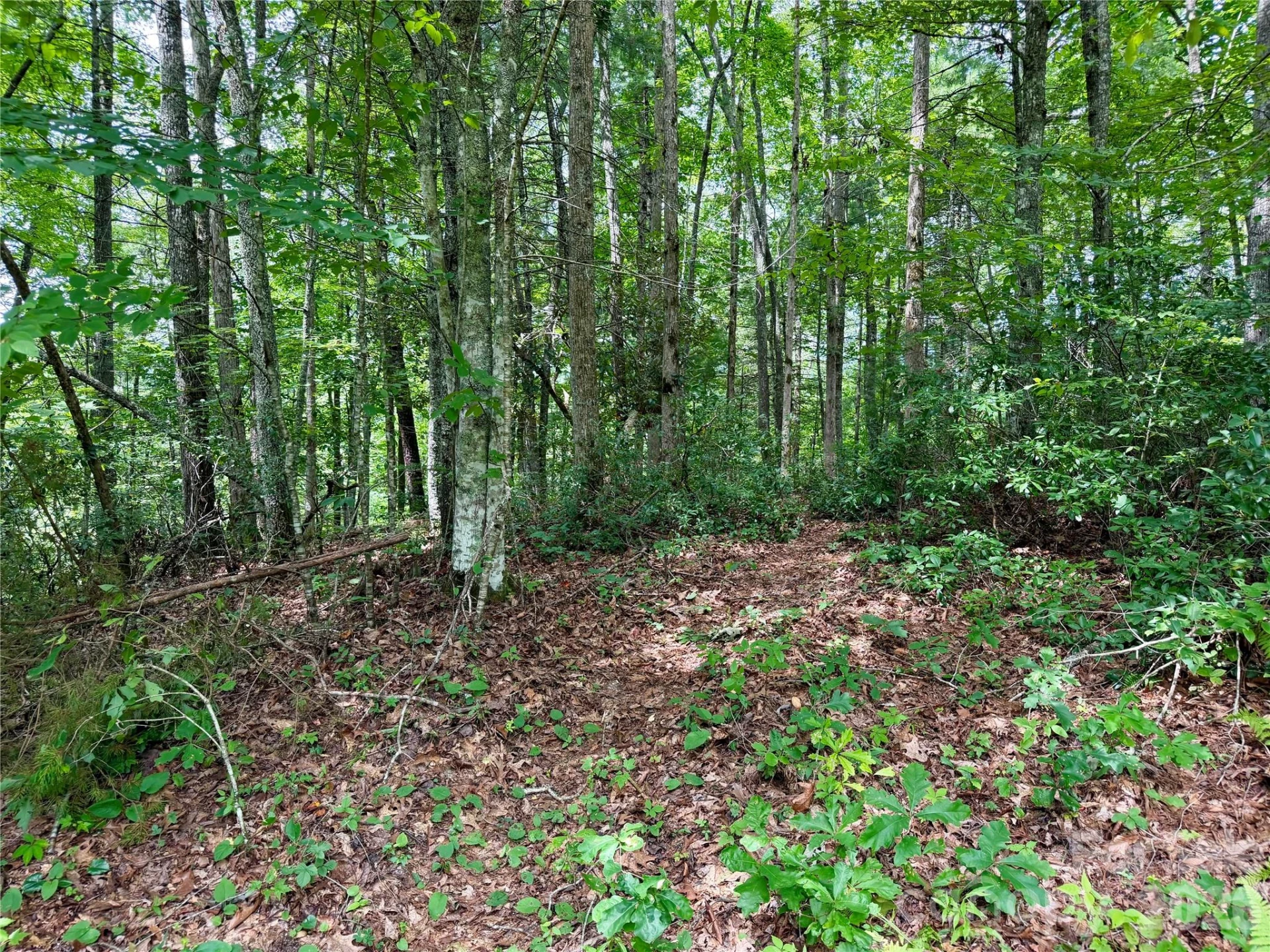1156 Bear River Lodge Trail - Photo 10