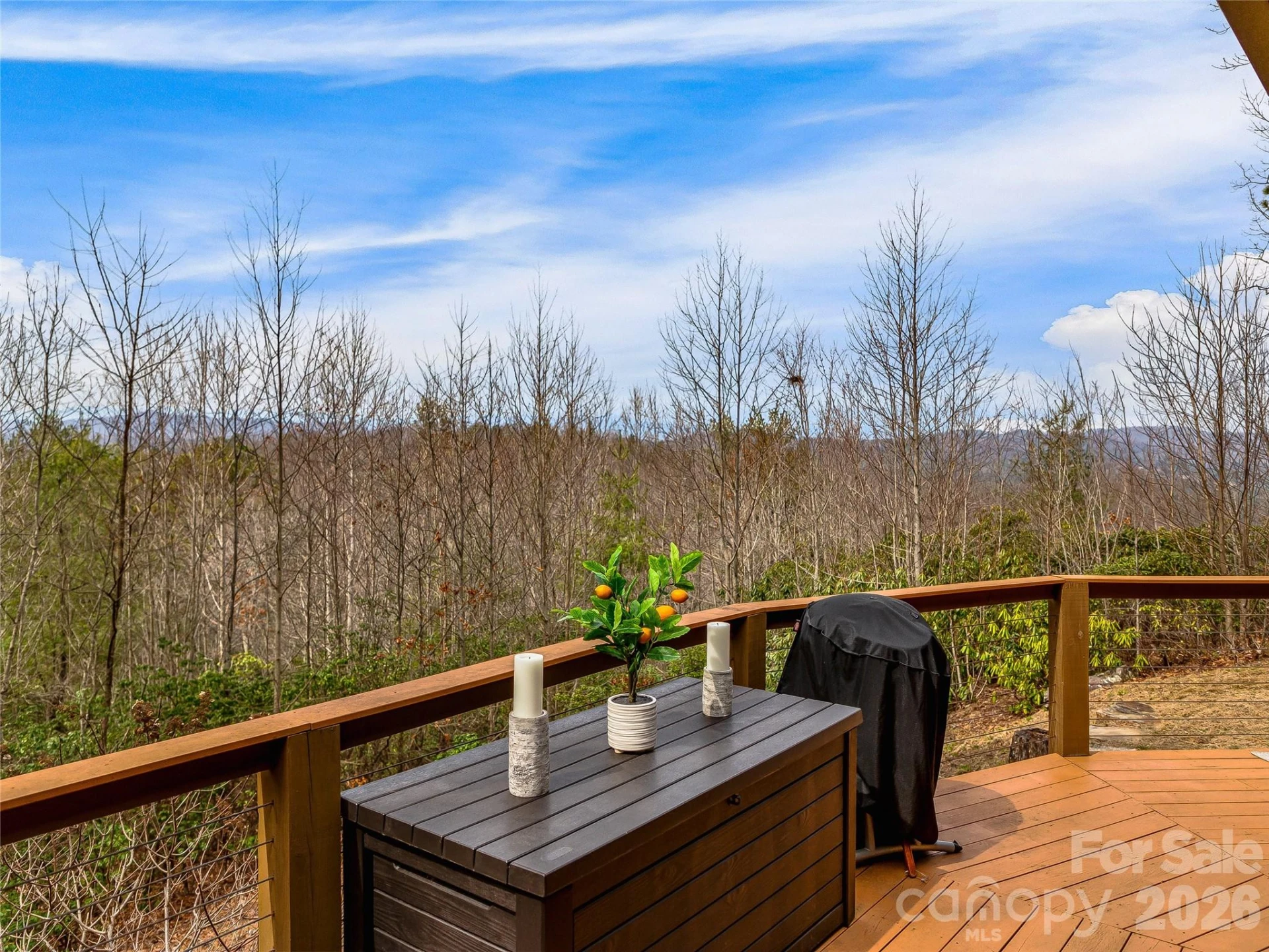 169 Viking Trail - Photo 46