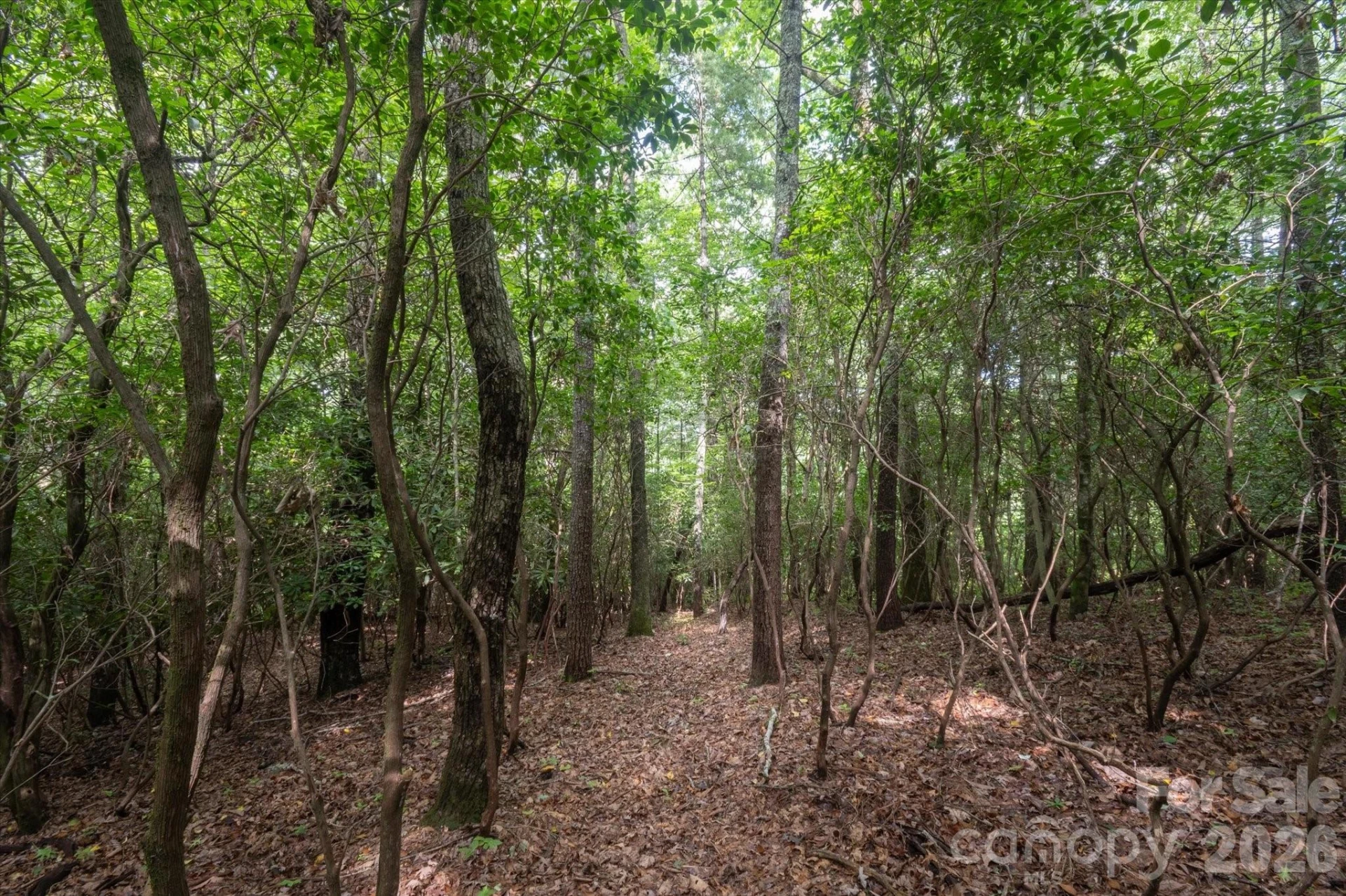 K29 Chestnut Trace #K 29 - Photo 8