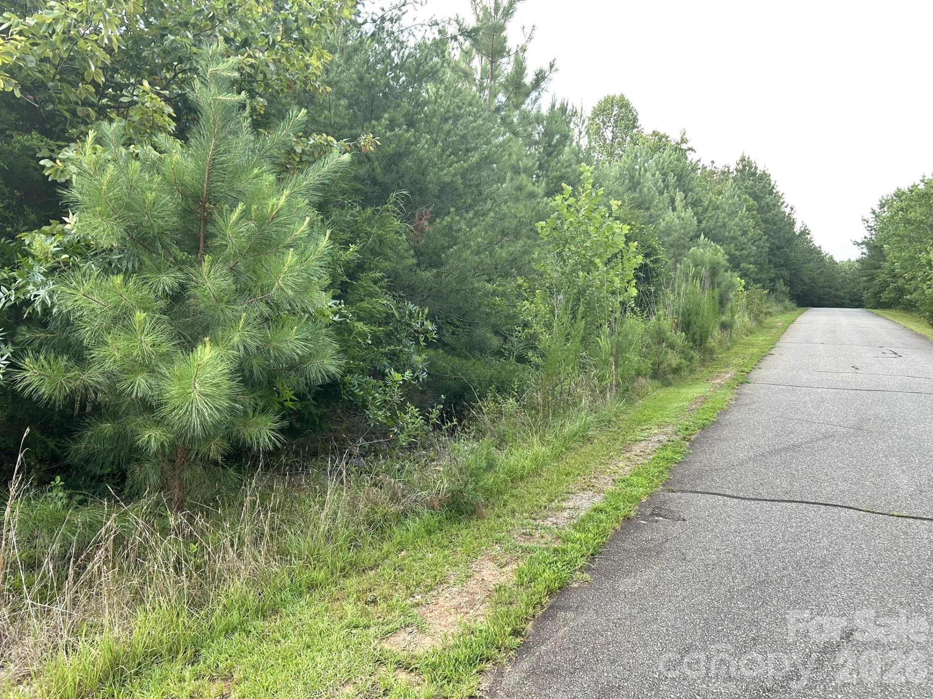 00 Cross Creek Drive #277 - Photo 2