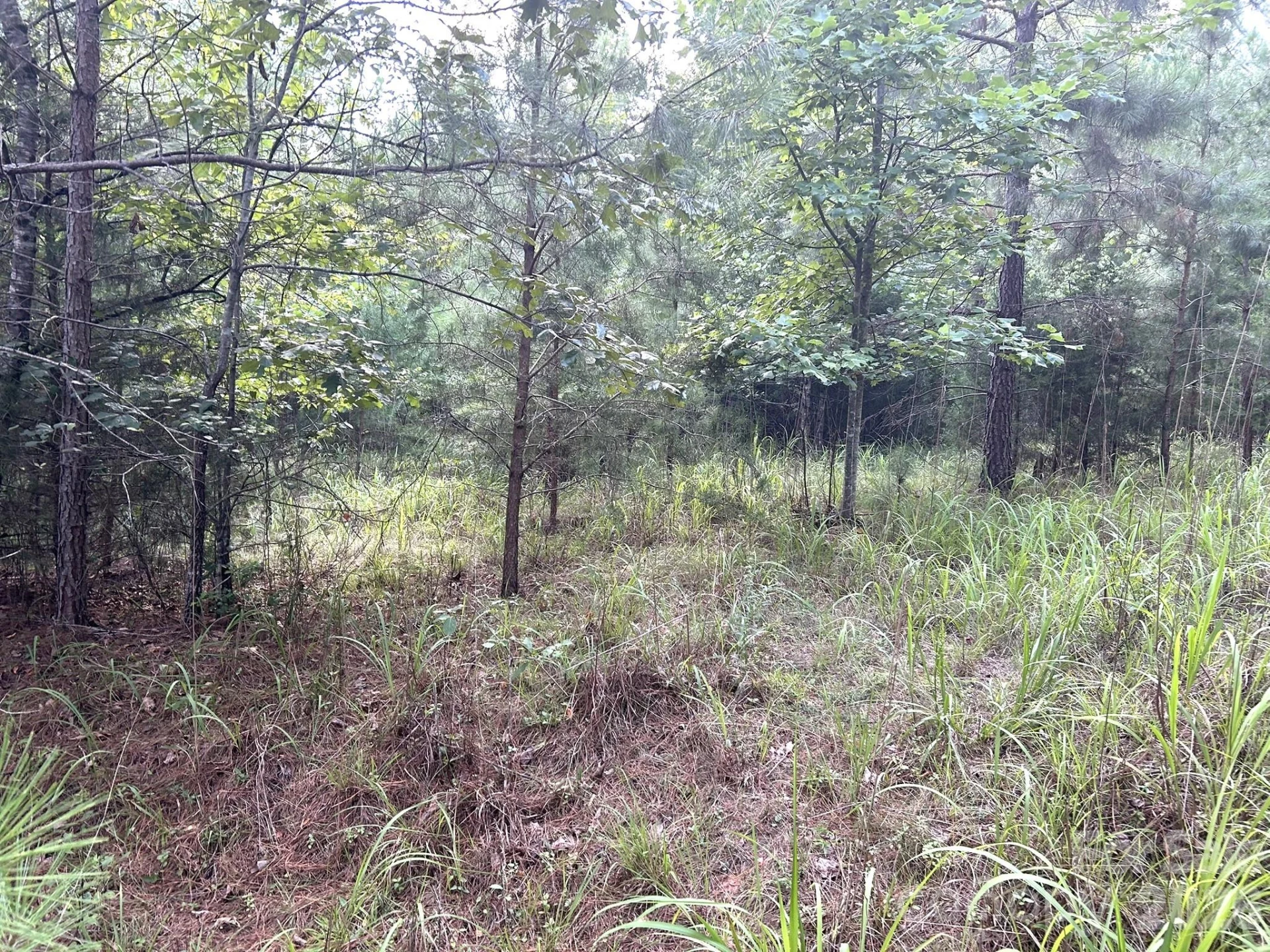 00 Cross Creek Drive #277 - Photo 3