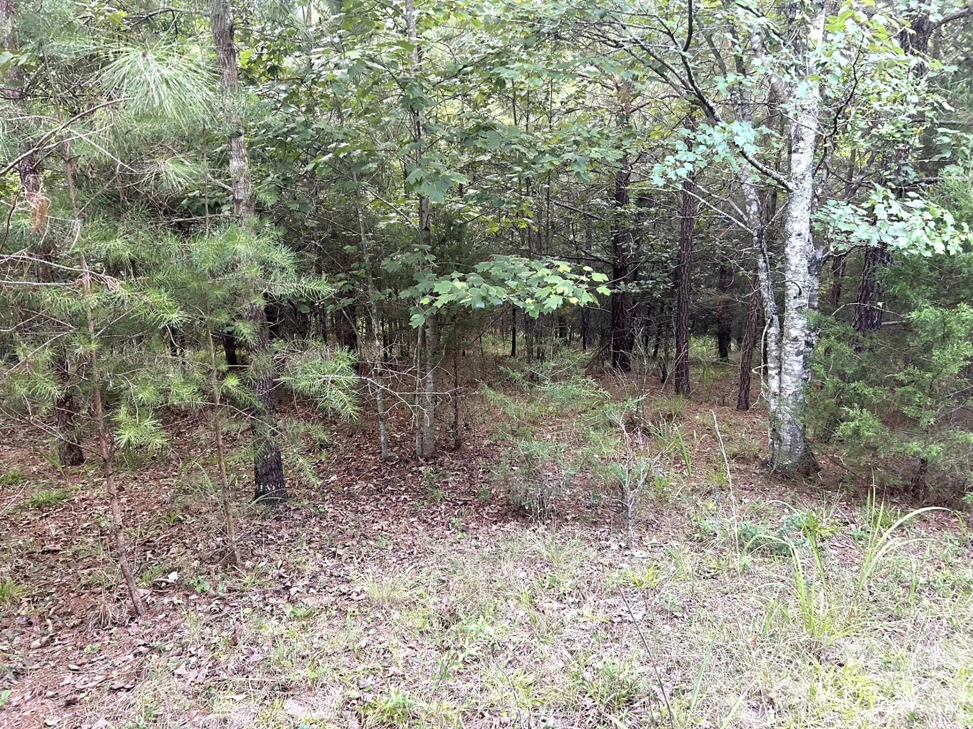 00 Cross Creek Drive #277 - Photo 4