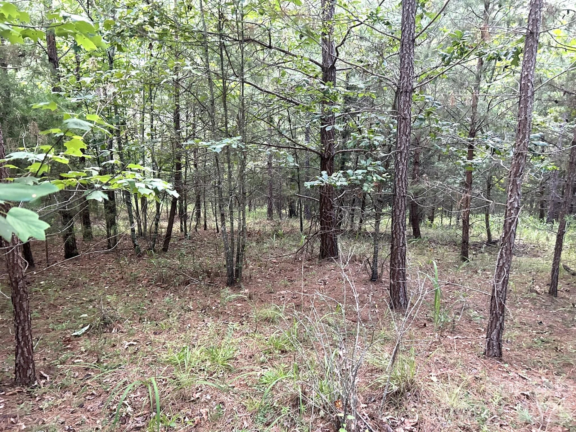 00 Cross Creek Drive #277 - Photo 5
