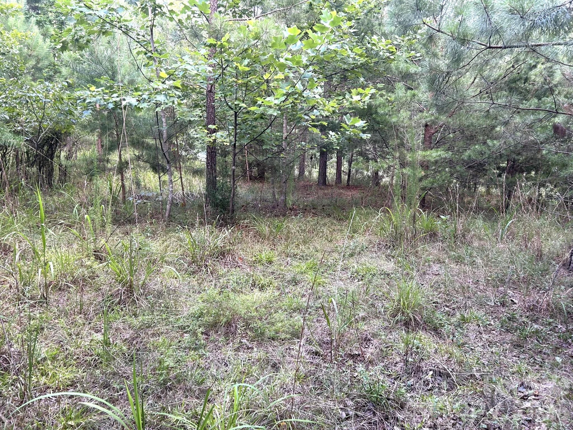 00 Cross Creek Drive #277 - Photo 6