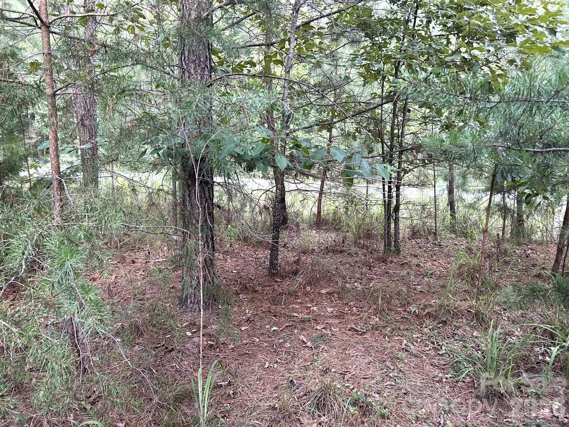 00 Cross Creek Drive #277 - Photo 7