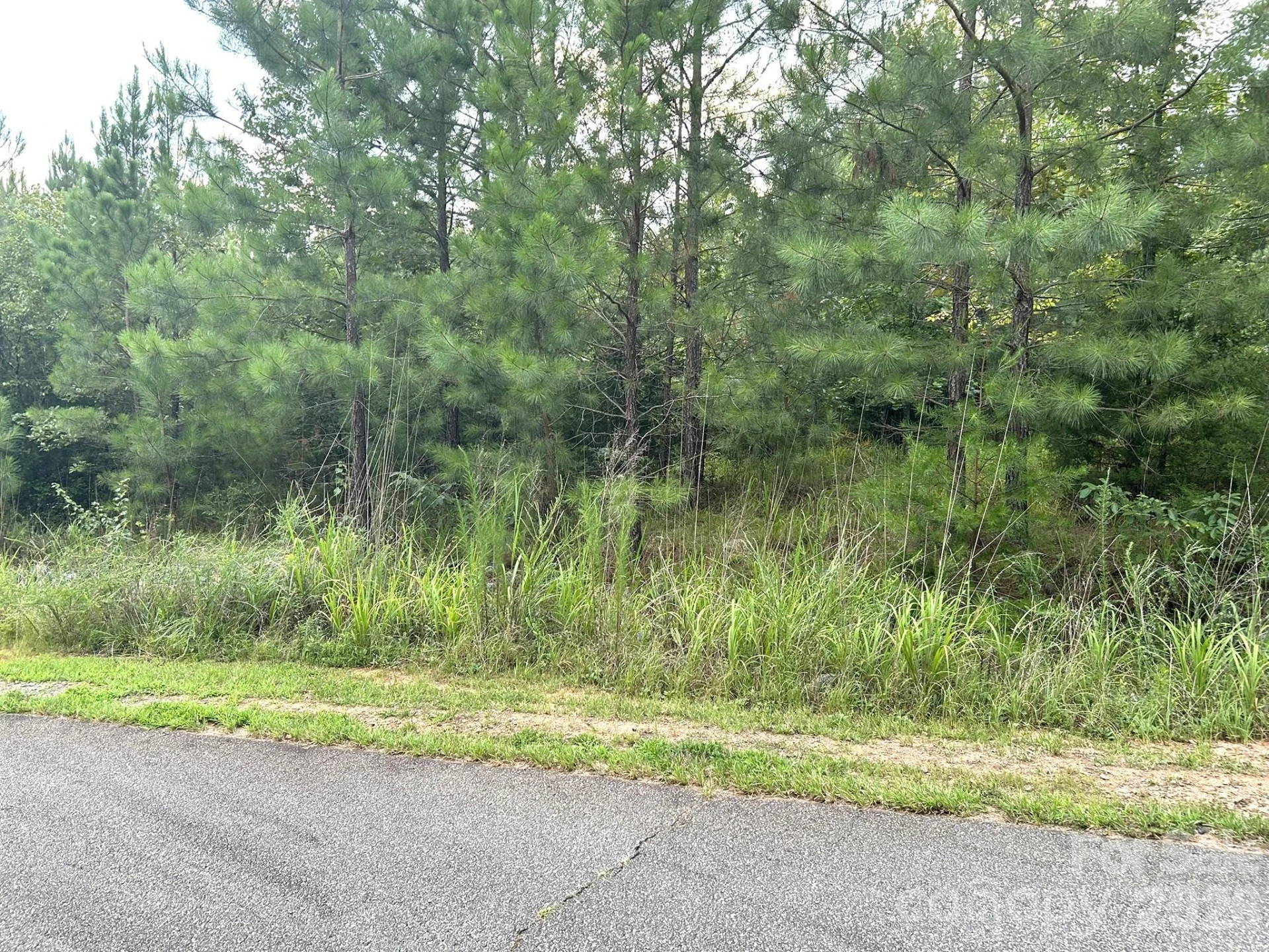 00 Cross Creek Drive #277 - Photo 8