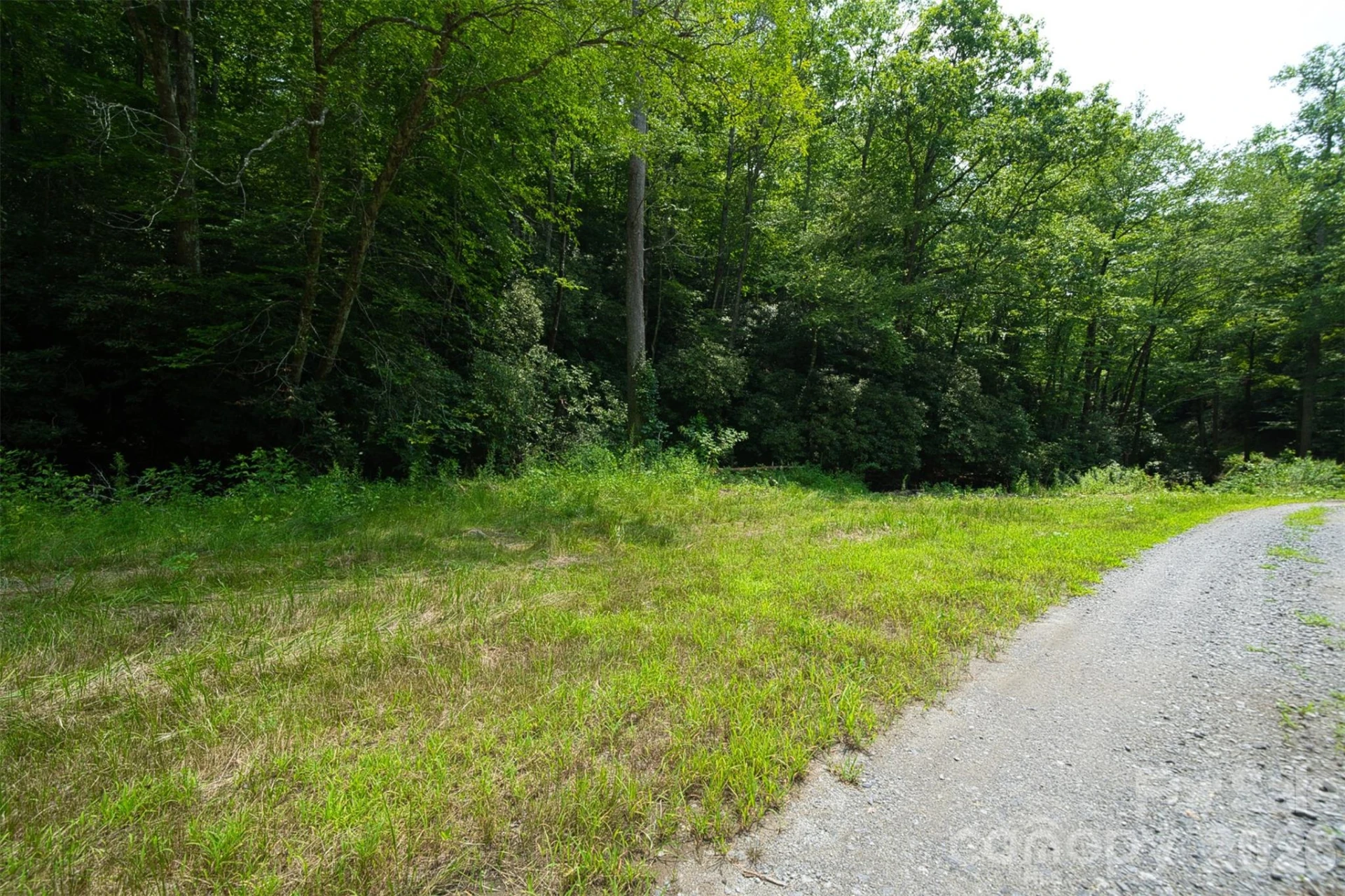35 Lower Sand Branch Road - Photo 5