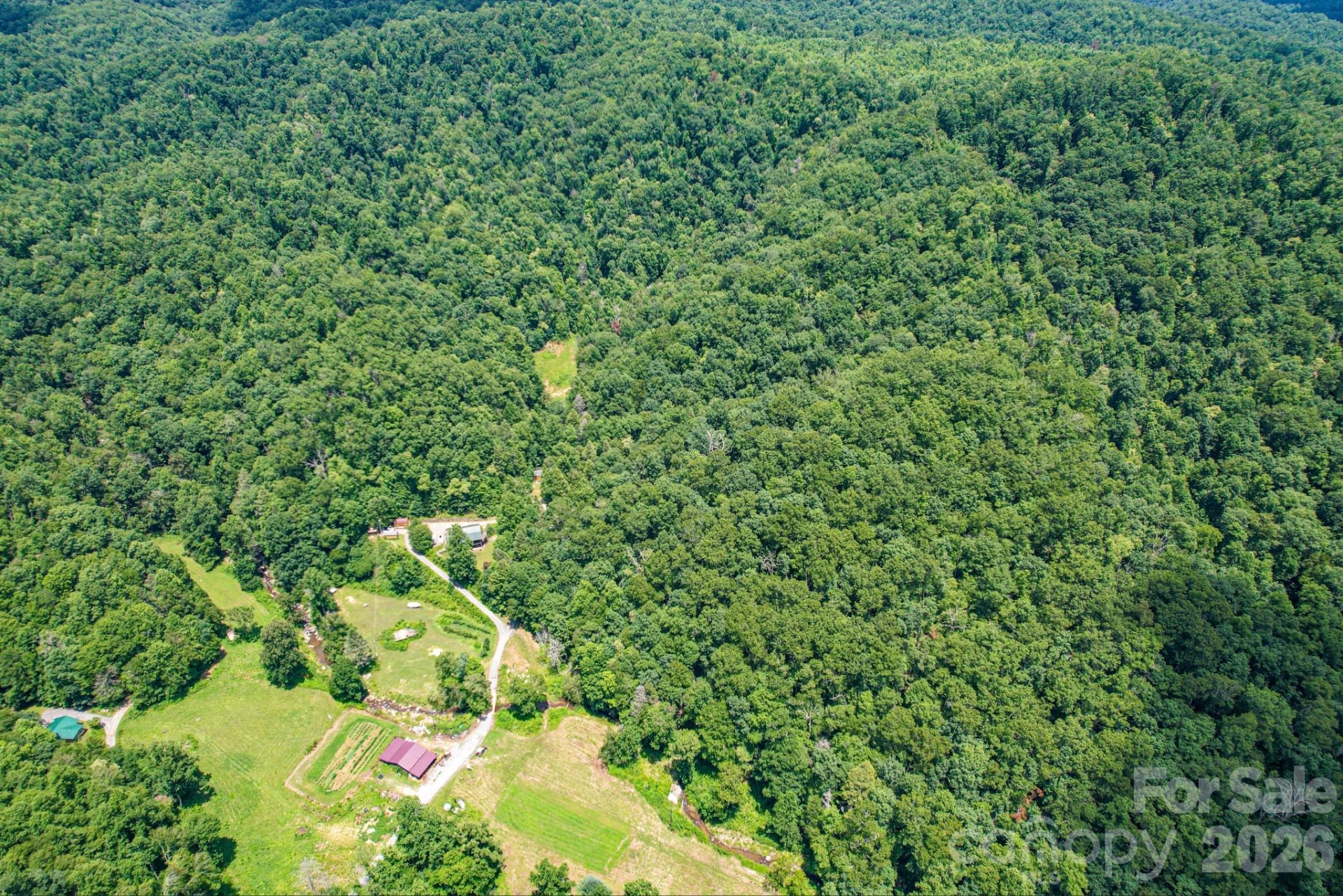 35 Lower Sand Branch Road - Photo 7