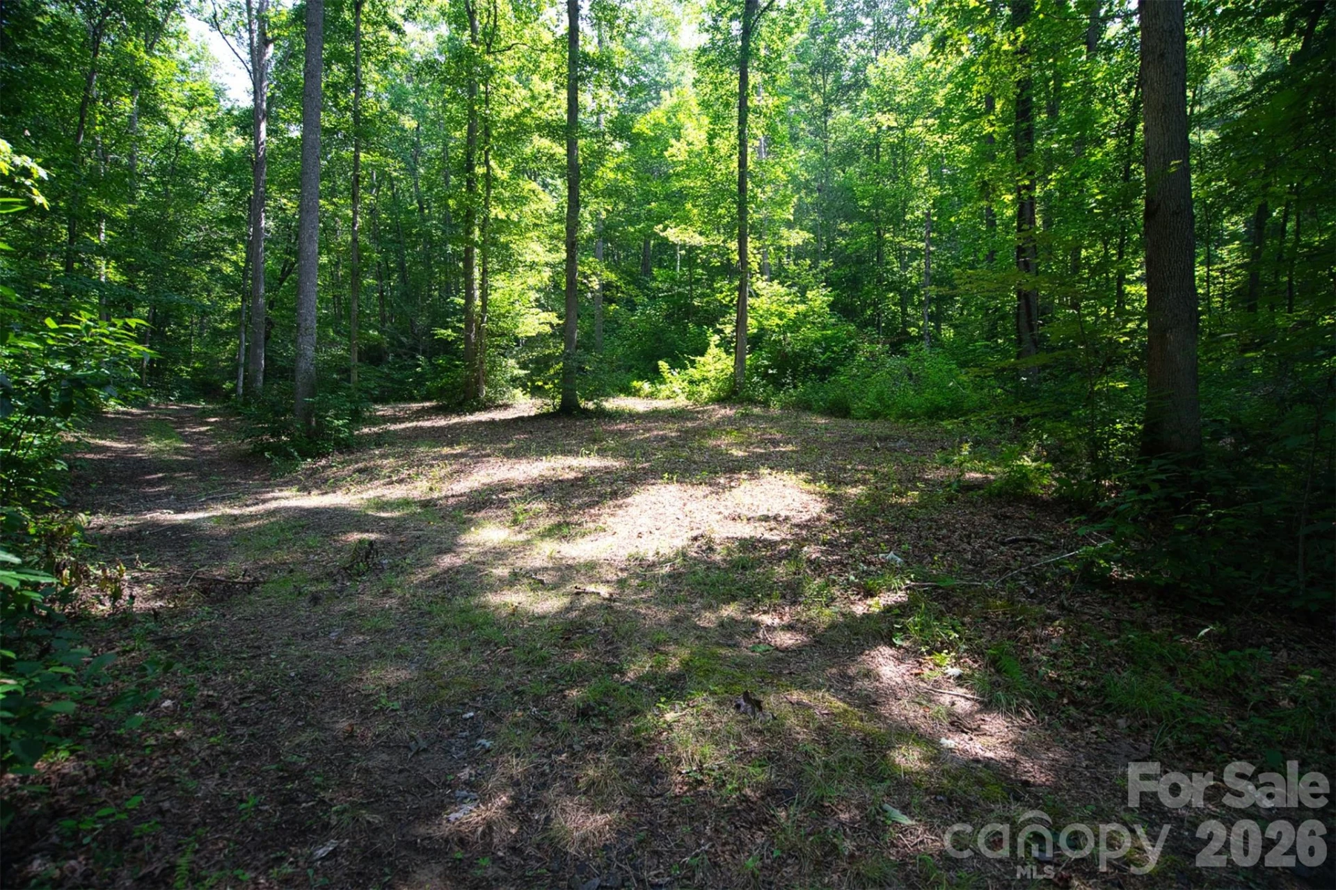 35 Lower Sand Branch Road - Photo 8