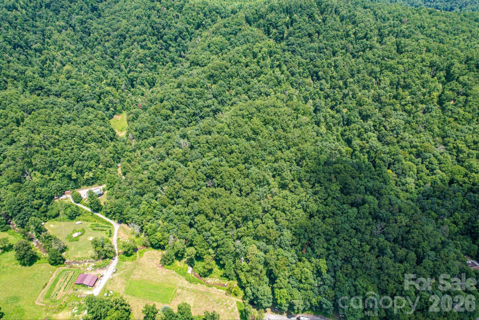 35 Lower Sand Branch Road - Photo 9