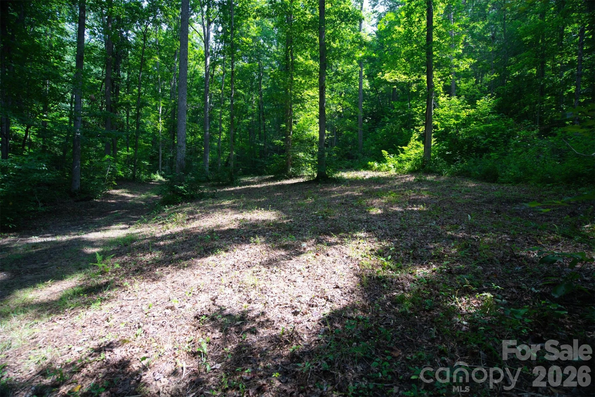 35 Lower Sand Branch Road - Photo 10