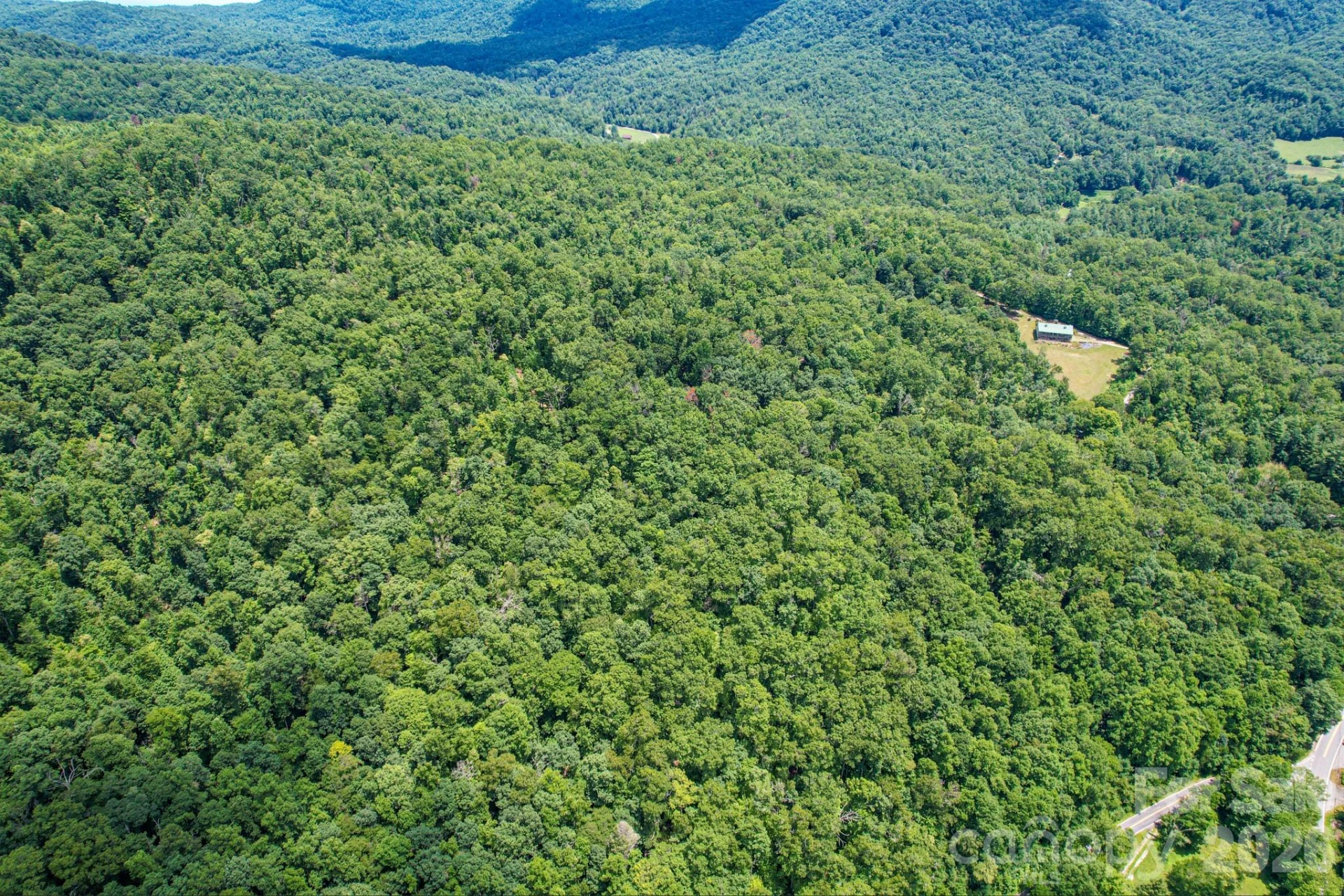 35 Lower Sand Branch Road - Photo 11