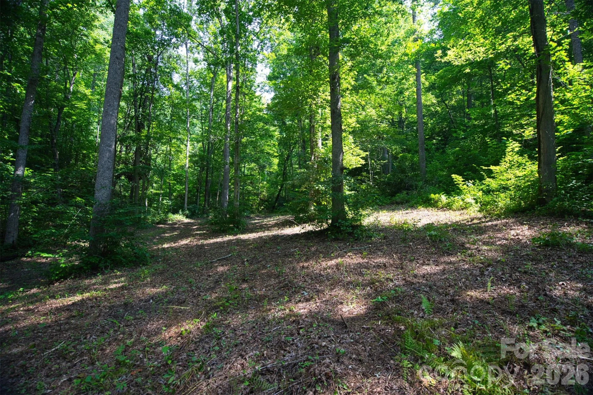 35 Lower Sand Branch Road - Photo 12