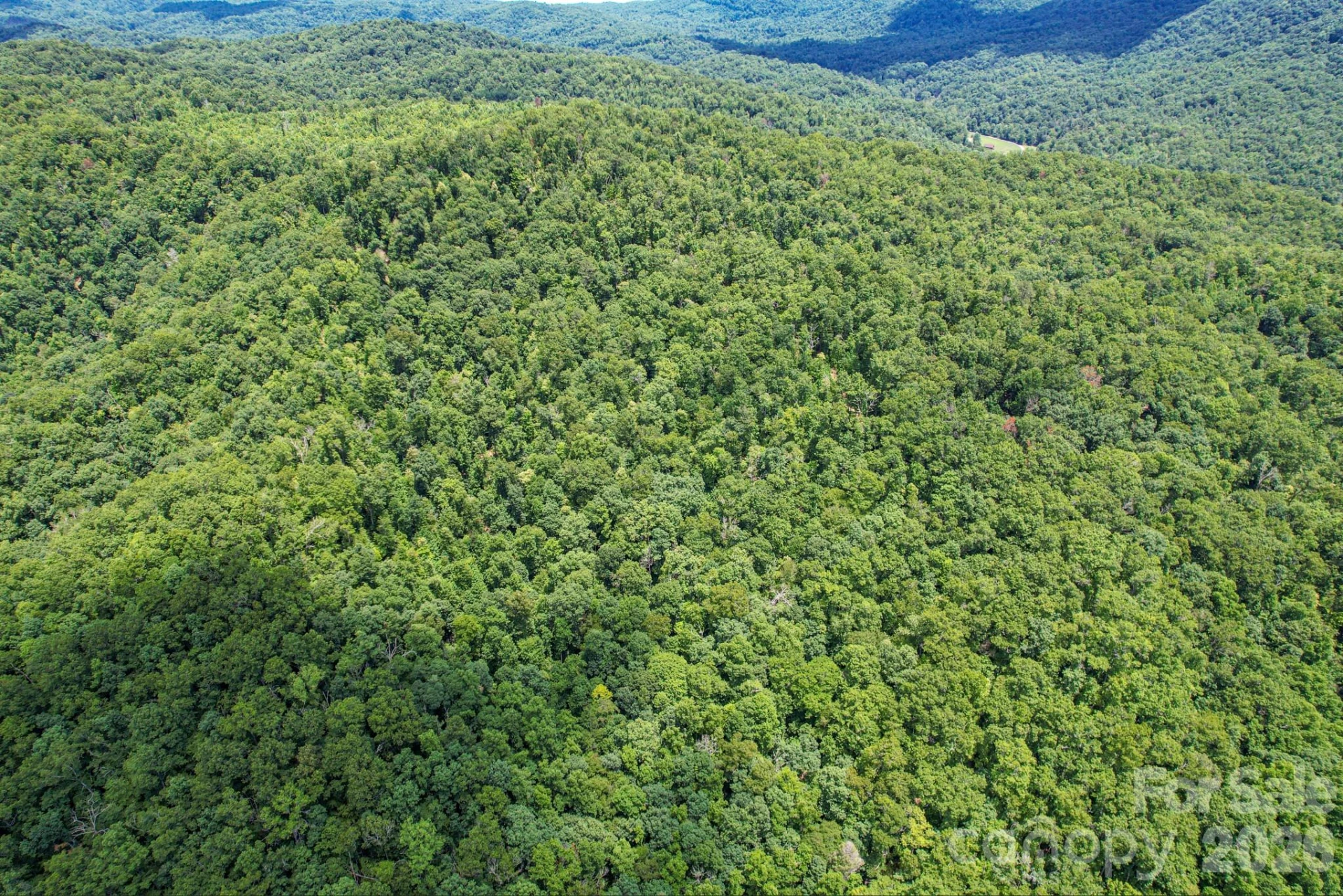 35 Lower Sand Branch Road - Photo 13