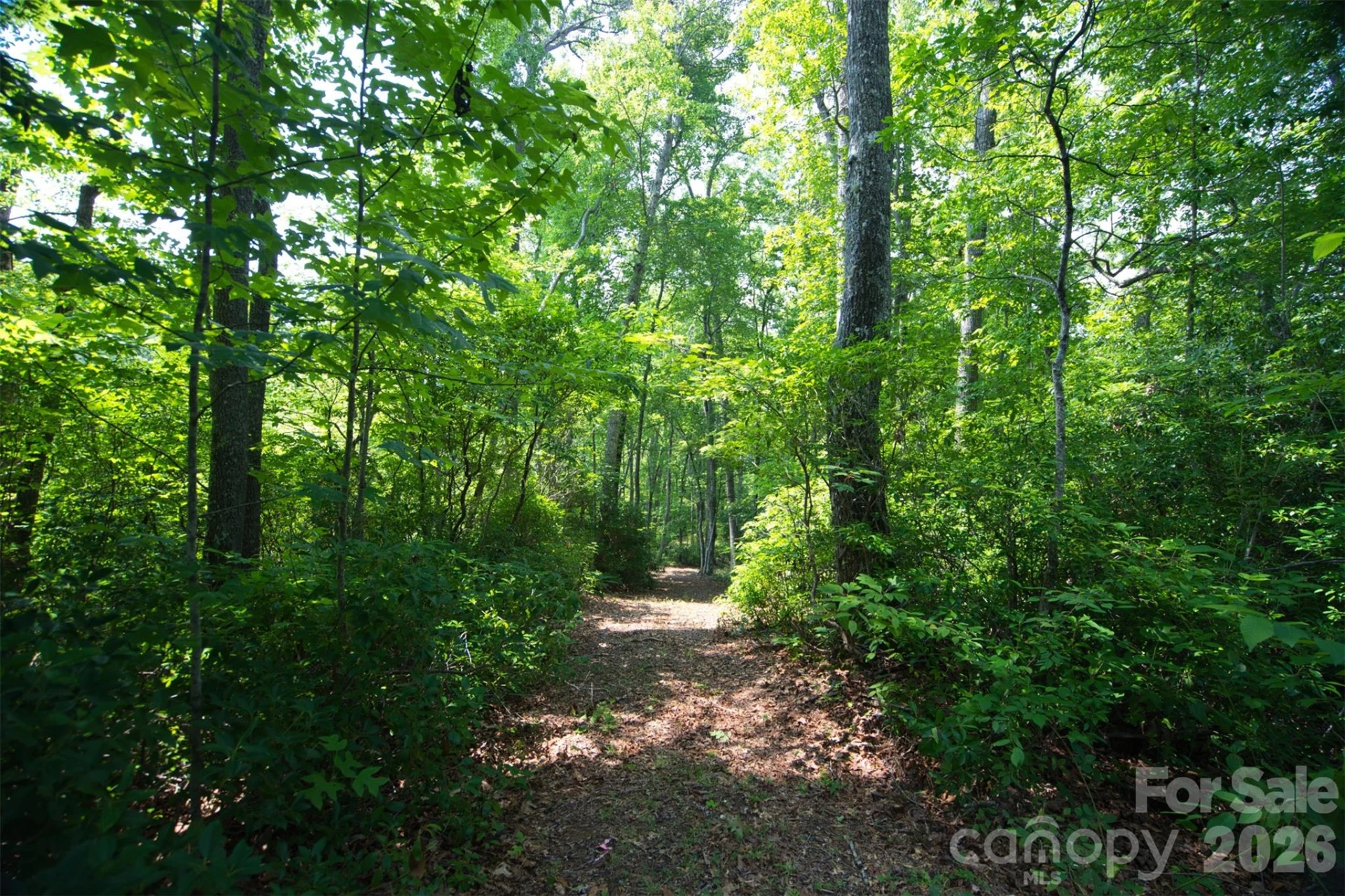 35 Lower Sand Branch Road - Photo 14