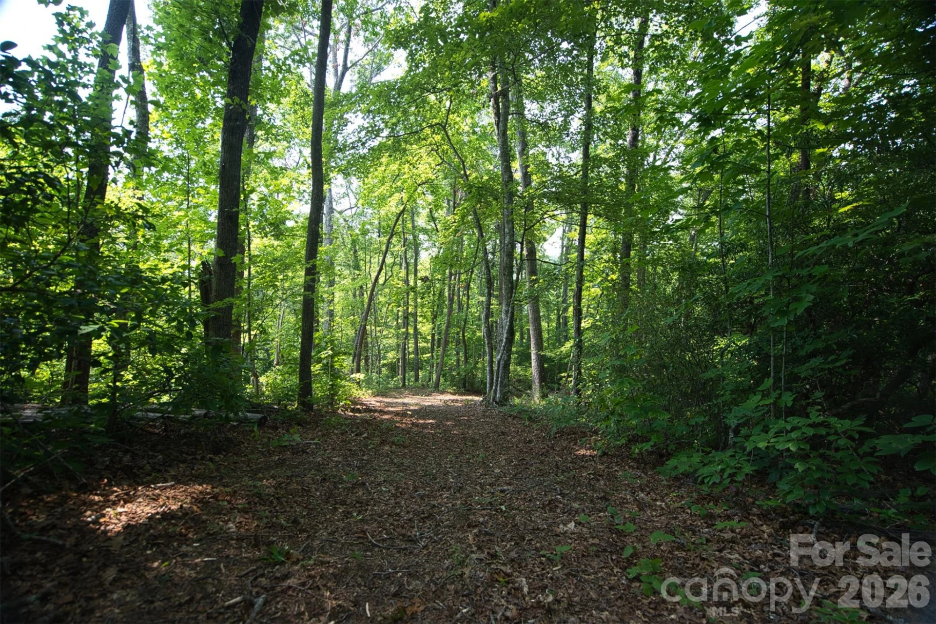 35 Lower Sand Branch Road - Photo 16