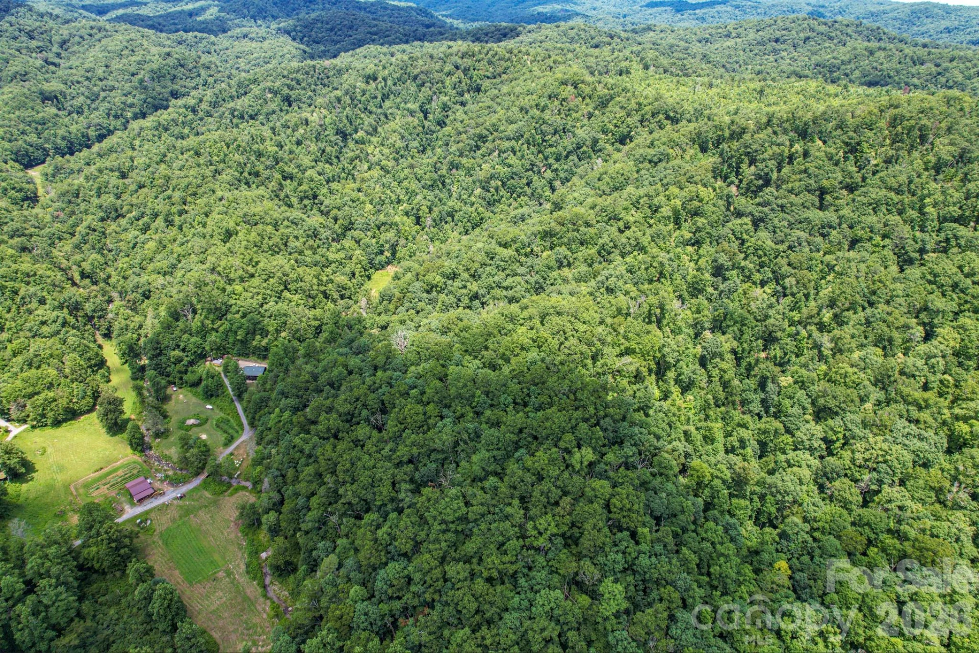 35 Lower Sand Branch Road - Photo 17