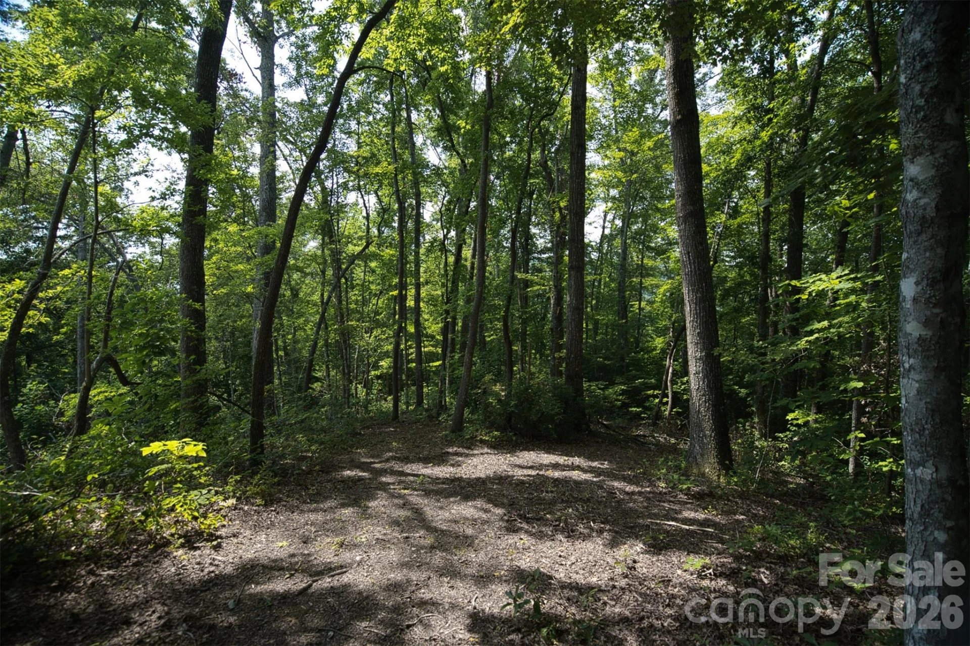 35 Lower Sand Branch Road - Photo 18