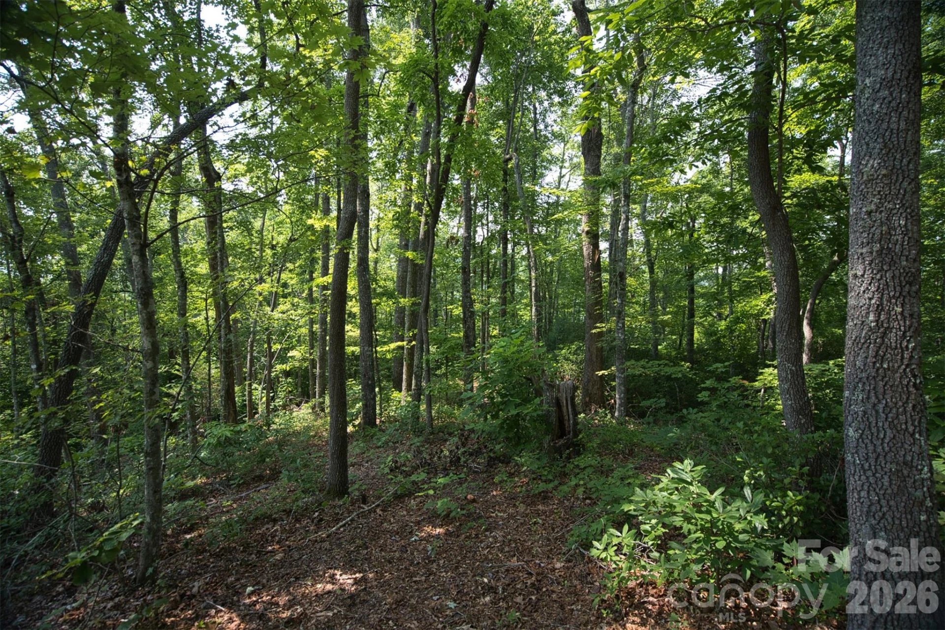 35 Lower Sand Branch Road - Photo 20