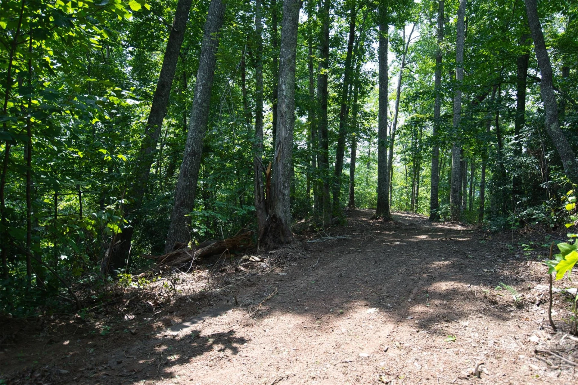 35 Lower Sand Branch Road - Photo 22