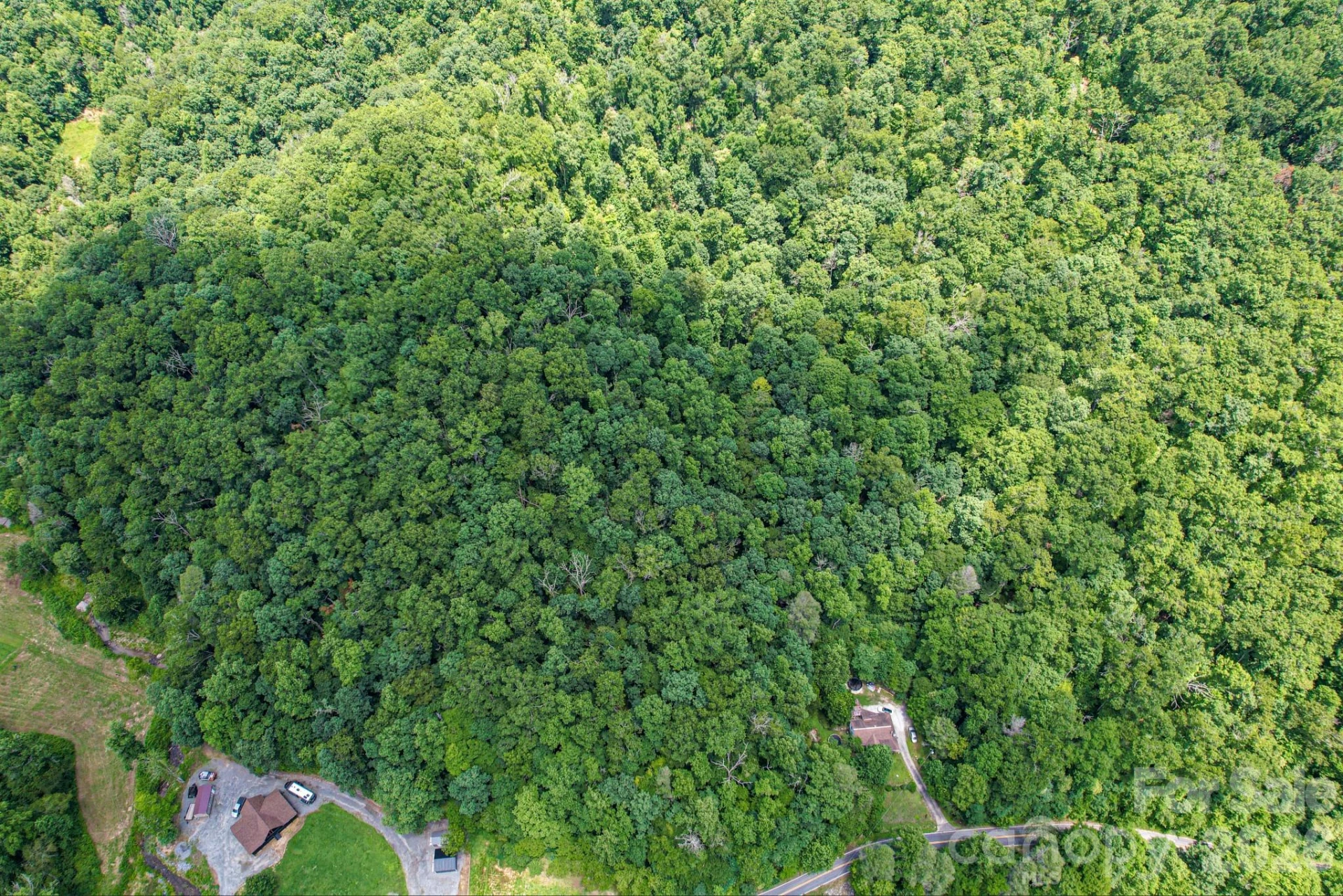 35 Lower Sand Branch Road - Photo 23