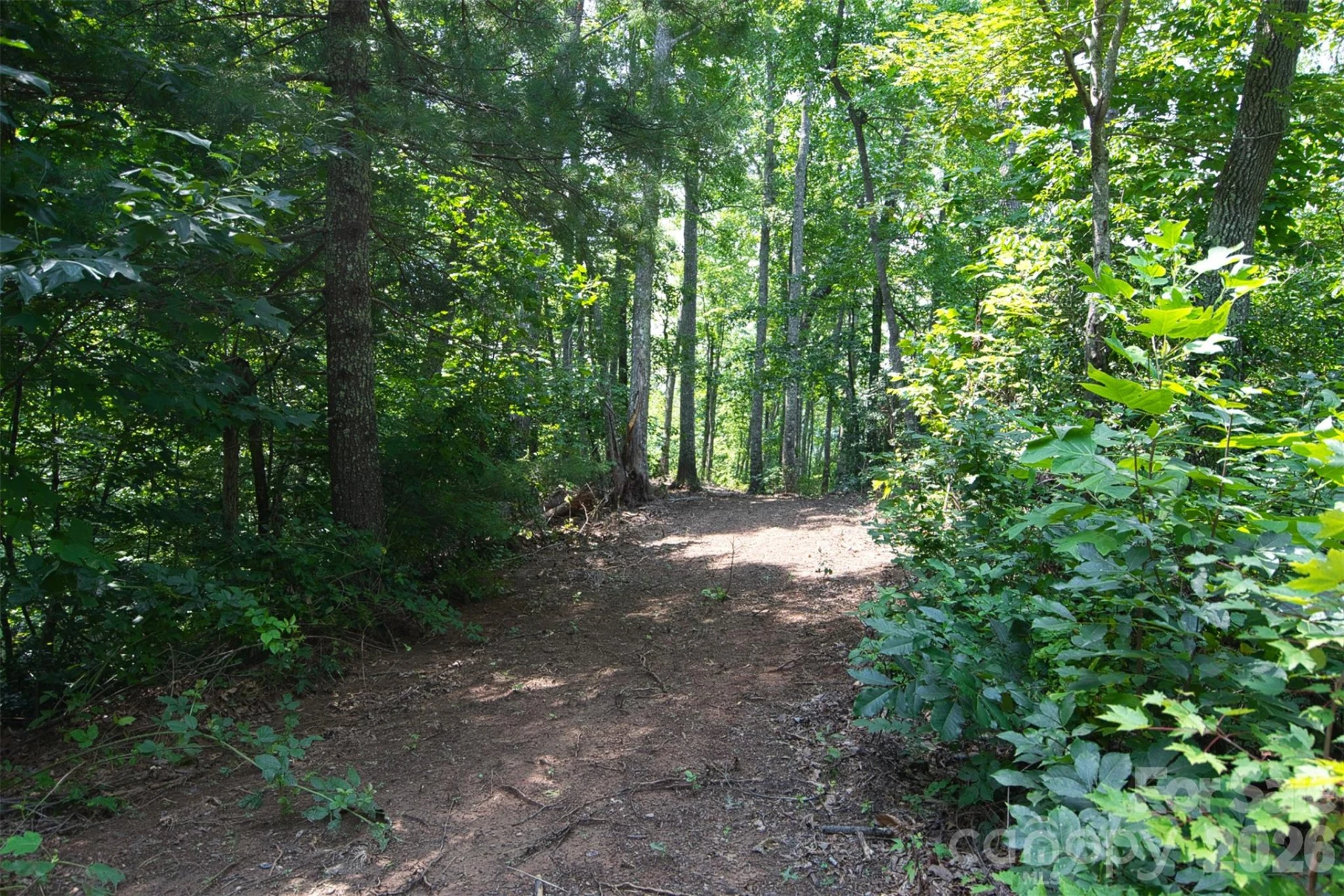35 Lower Sand Branch Road - Photo 24