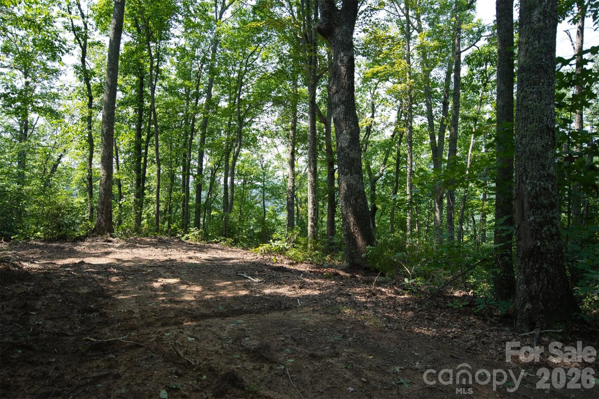 35 Lower Sand Branch Road - Photo 28