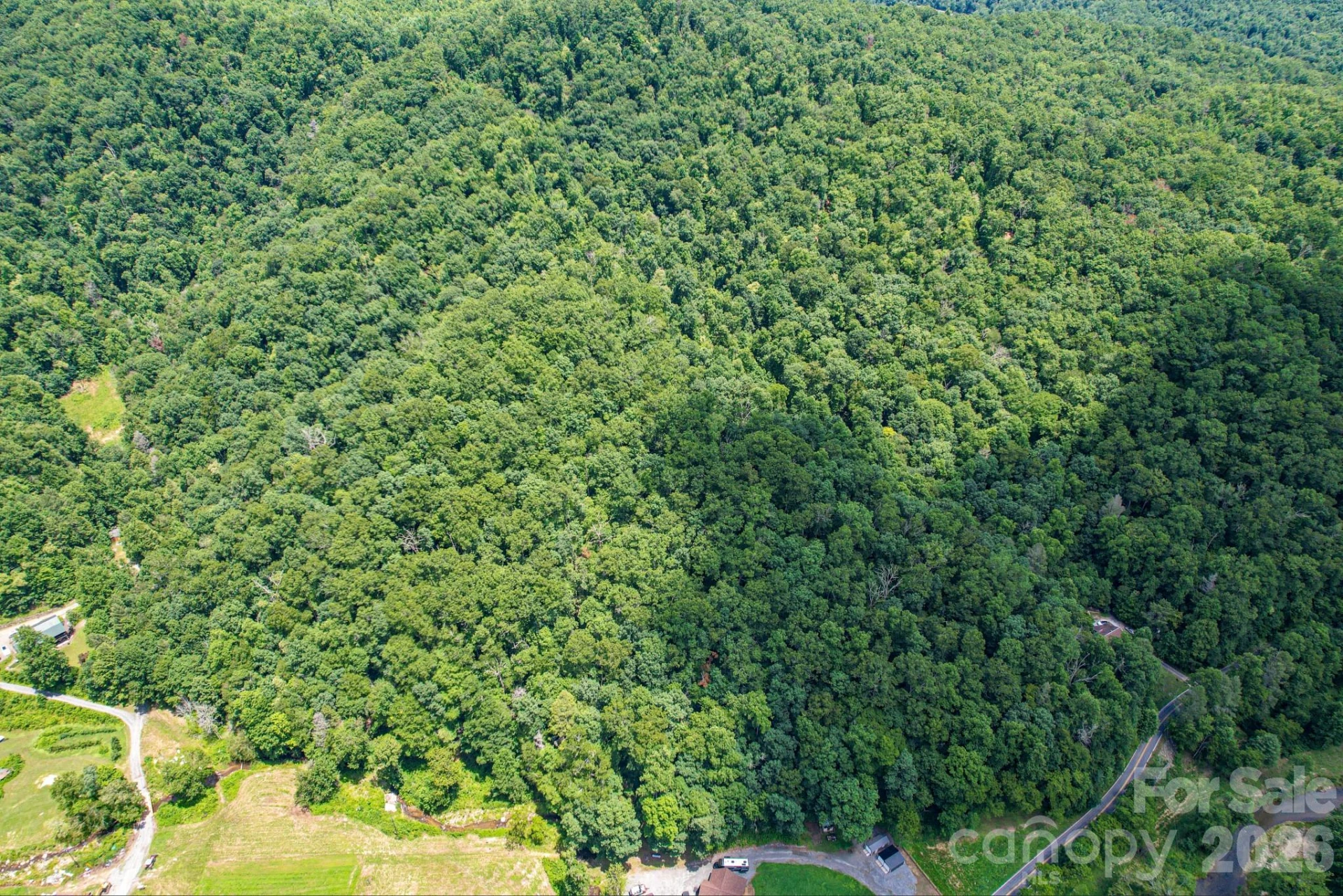 35 Lower Sand Branch Road - Photo 30
