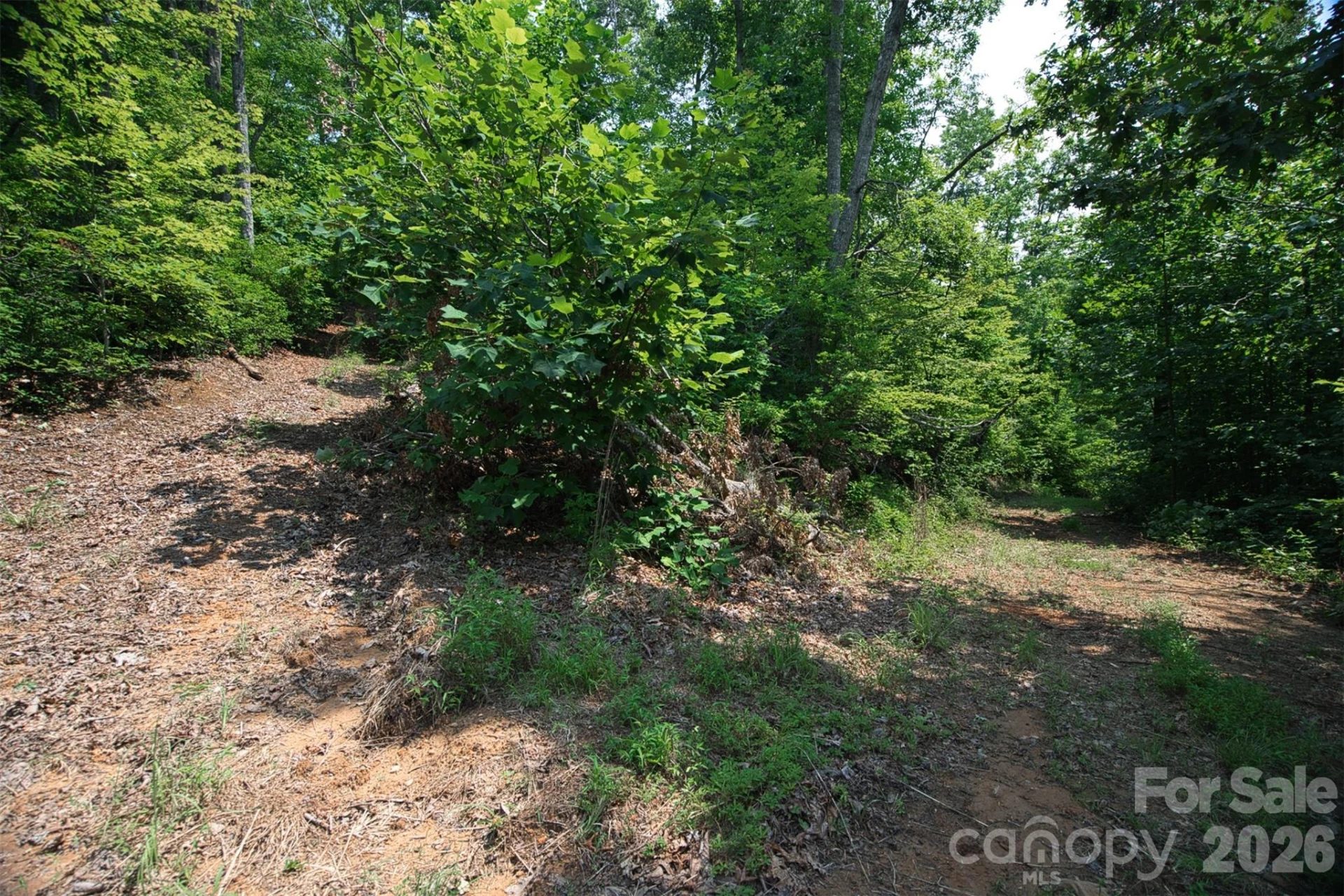 35 Lower Sand Branch Road - Photo 31