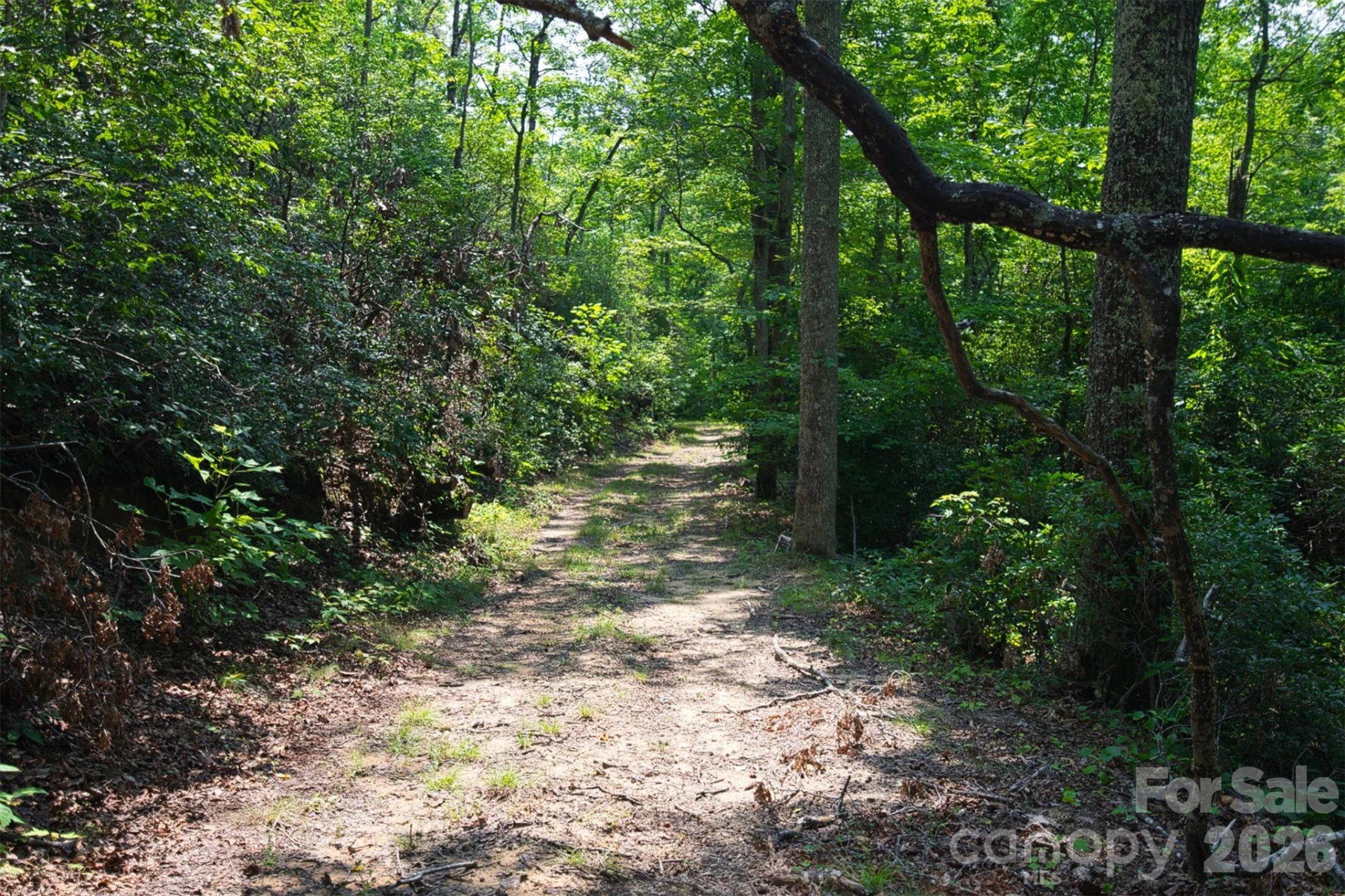 35 Lower Sand Branch Road - Photo 32