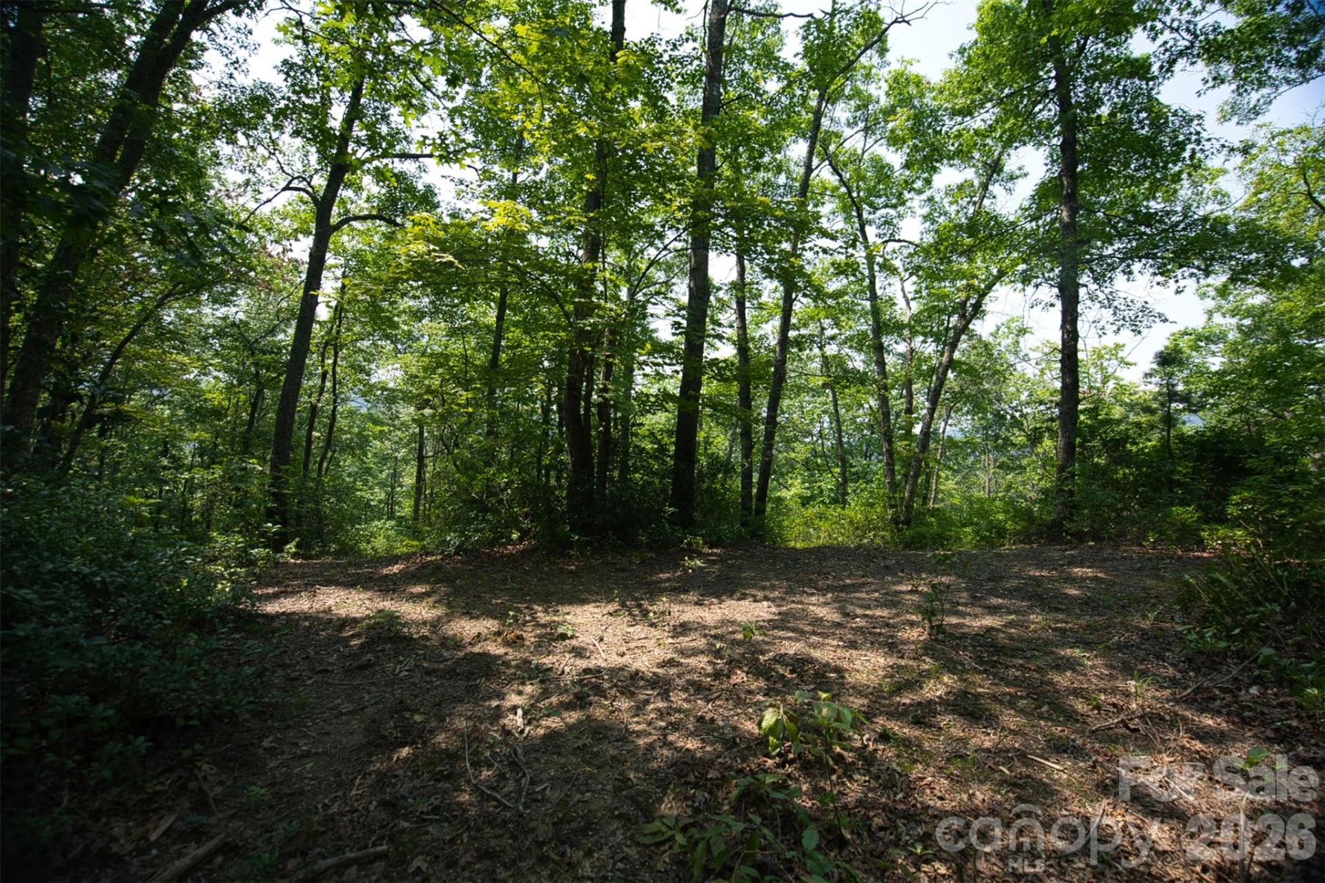 35 Lower Sand Branch Road - Photo 33