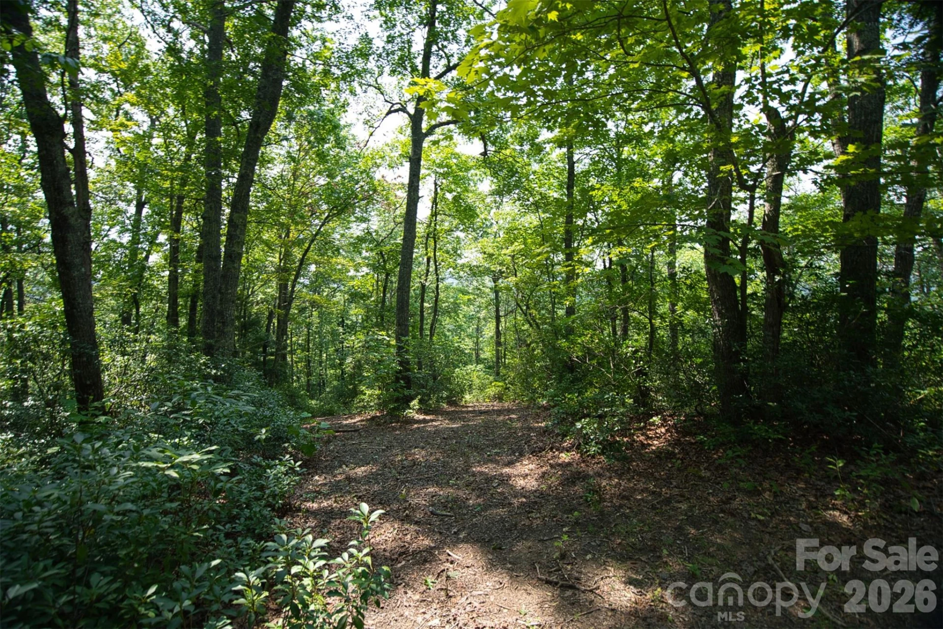 35 Lower Sand Branch Road - Photo 34