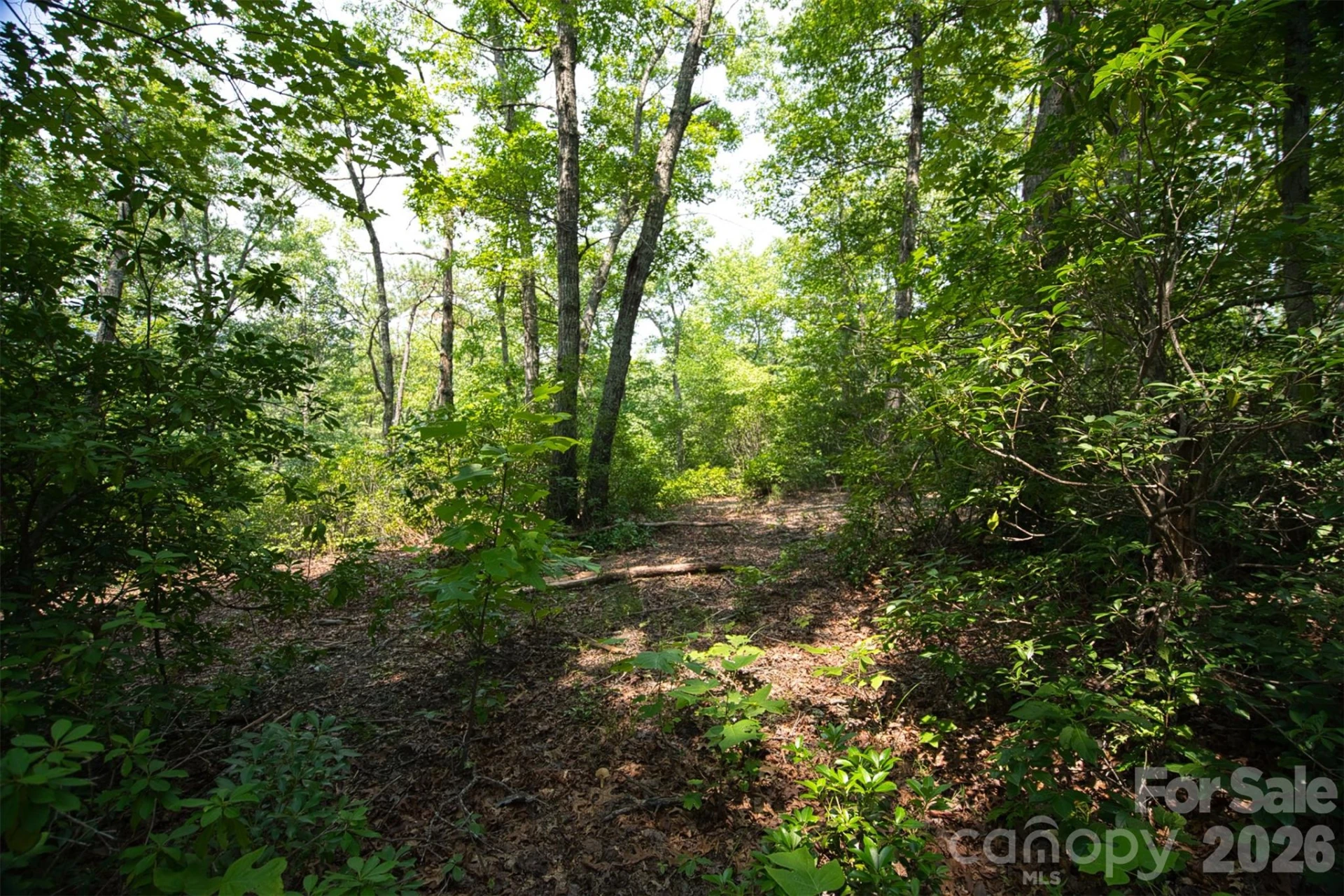 35 Lower Sand Branch Road - Photo 35