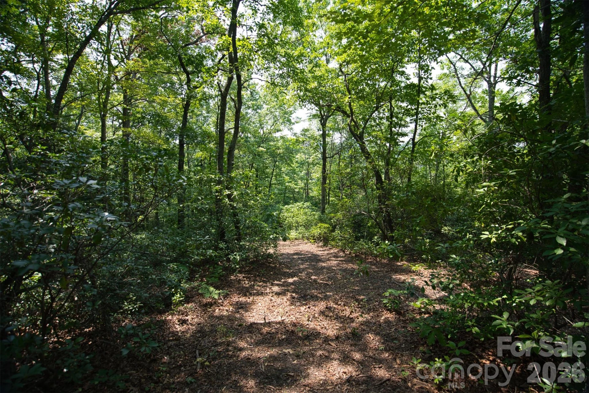 35 Lower Sand Branch Road - Photo 36