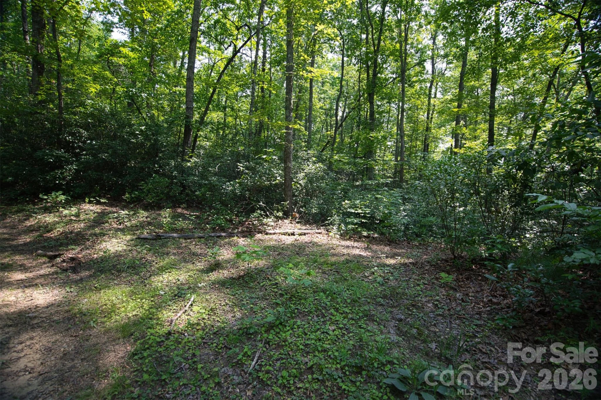 35 Lower Sand Branch Road - Photo 38
