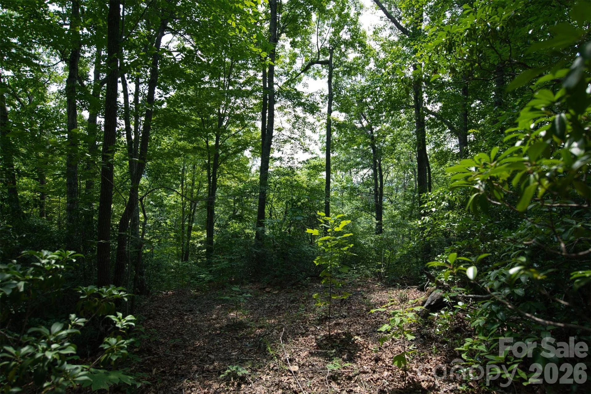 35 Lower Sand Branch Road - Photo 40