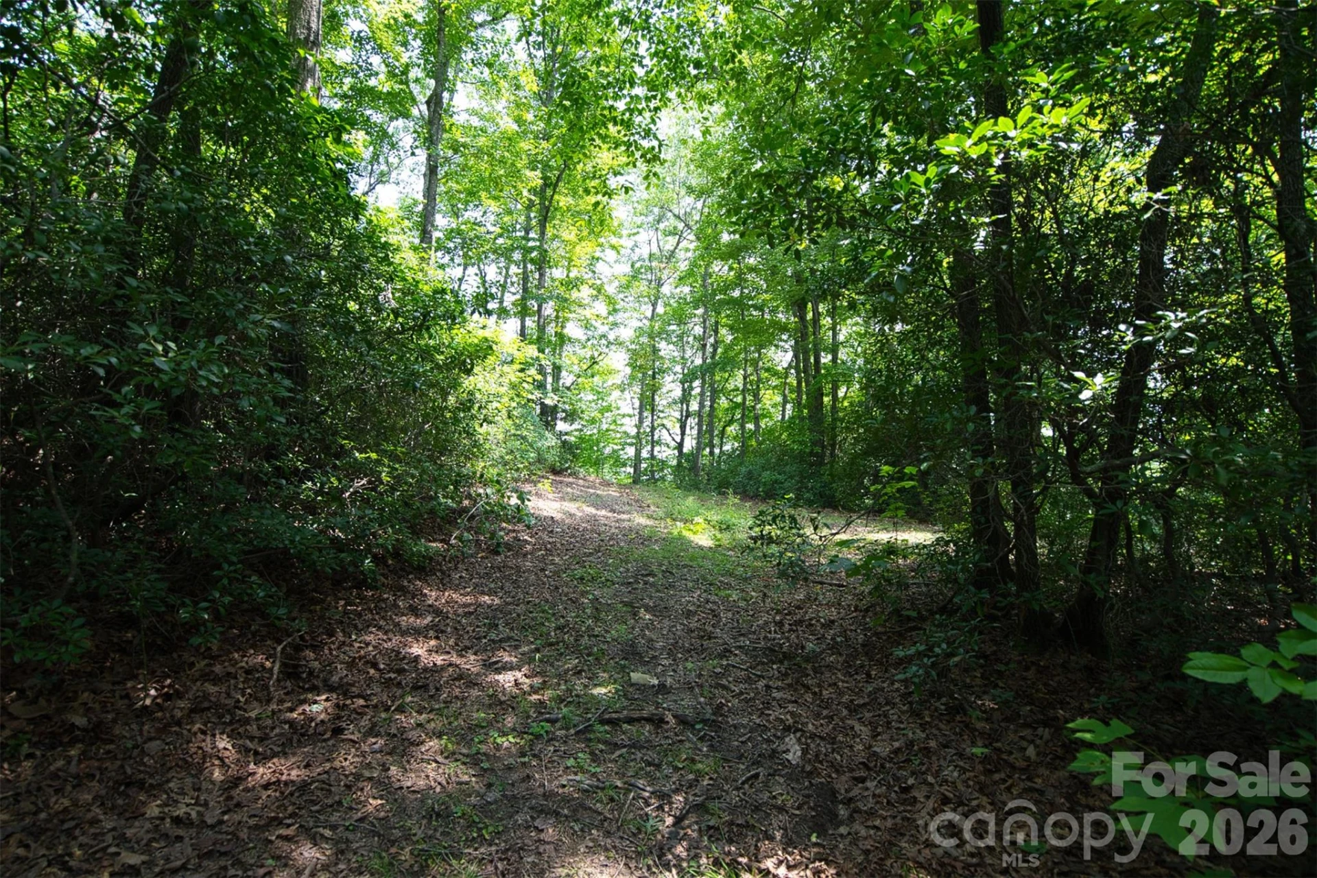 35 Lower Sand Branch Road - Photo 41