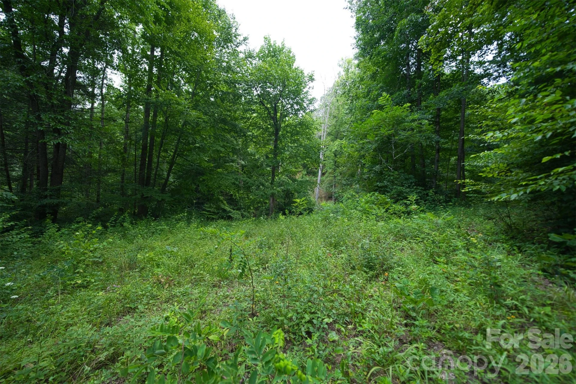 35 Lower Sand Branch Road - Photo 42