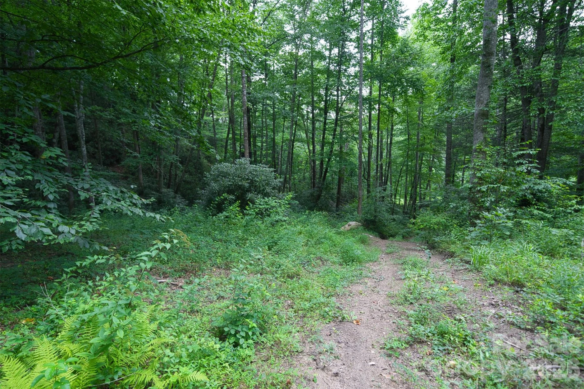 35 Lower Sand Branch Road - Photo 43