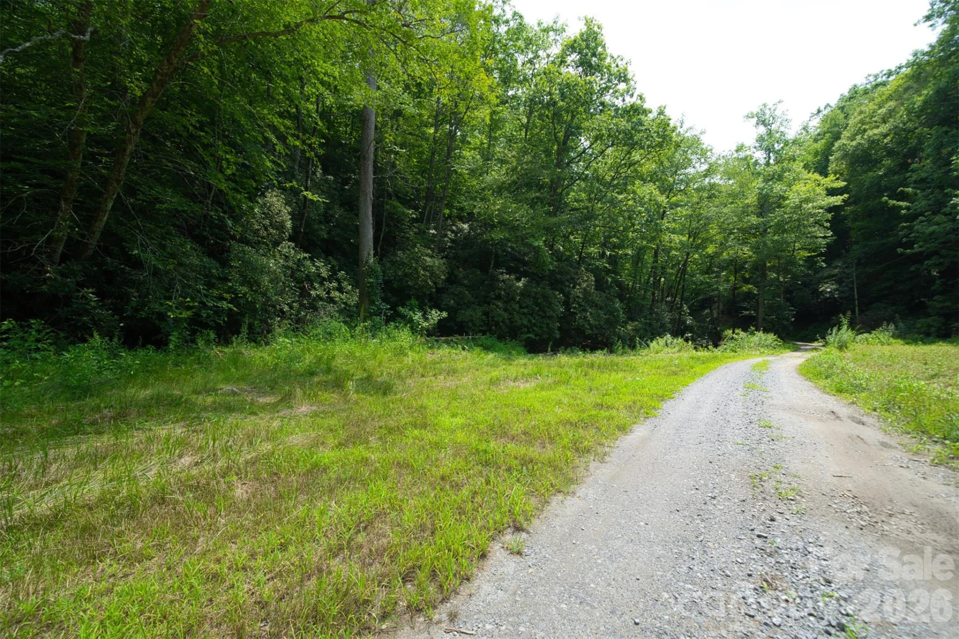 35 Lower Sand Branch Road - Photo 44
