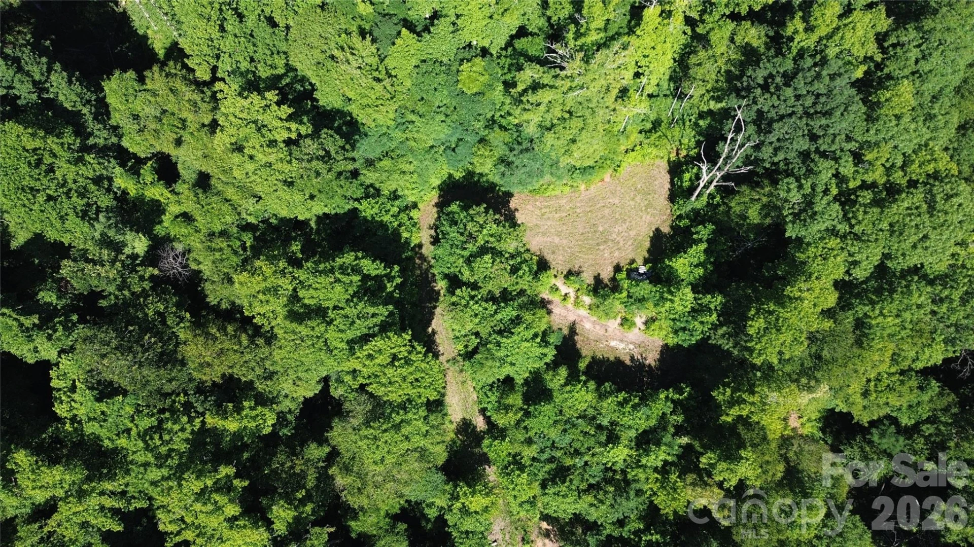 99999 Morgan Hill Road - Photo 2