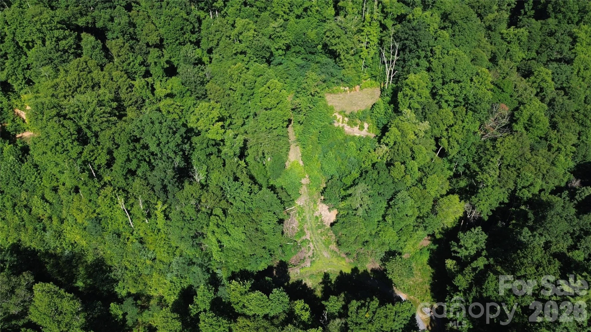 99999 Morgan Hill Road - Photo 3